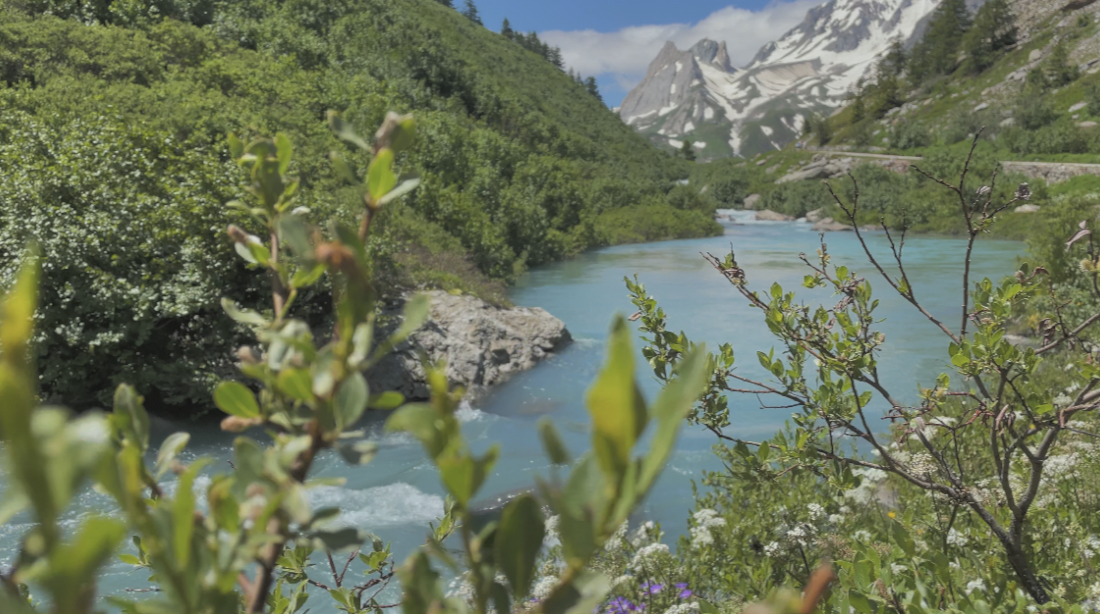 Alpine Blues
