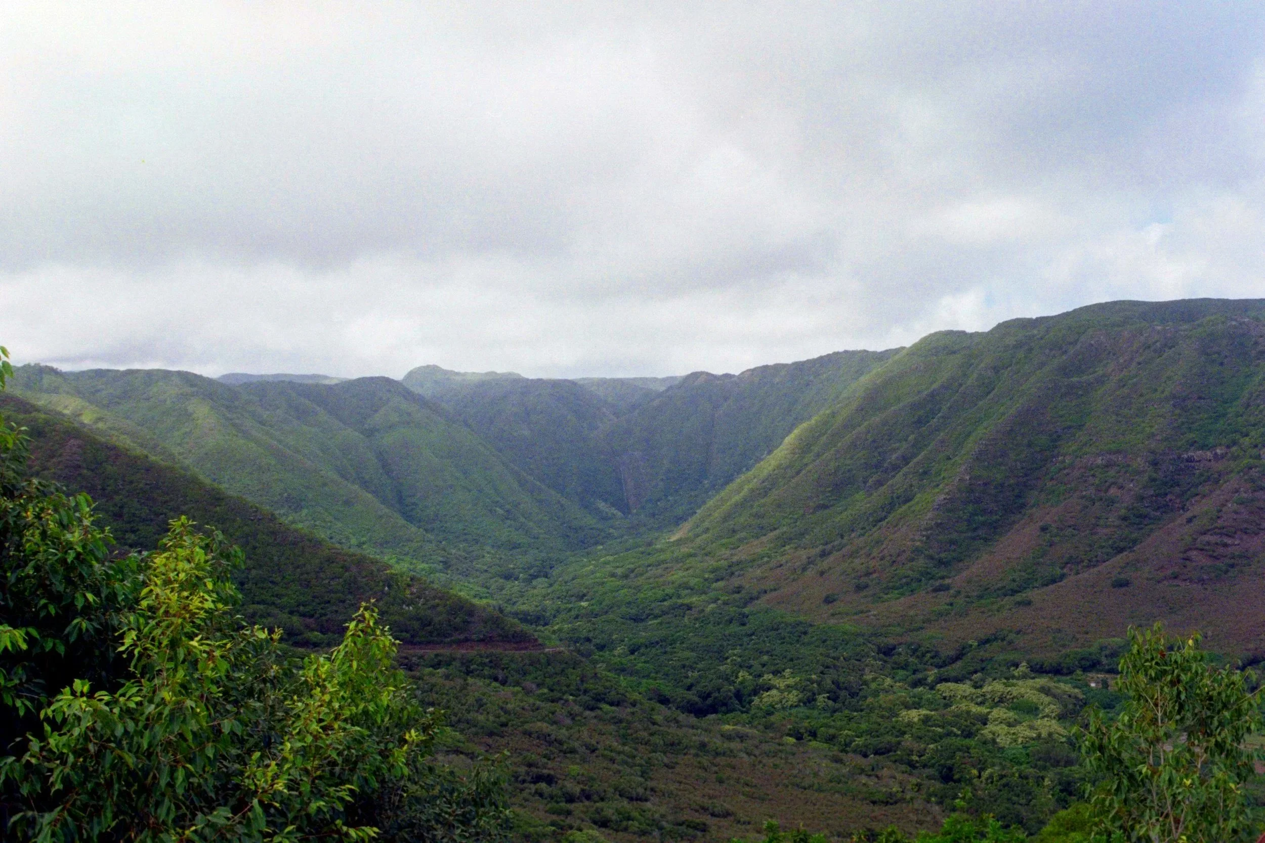 Molokai Mountains- 2021 shot on 35mm