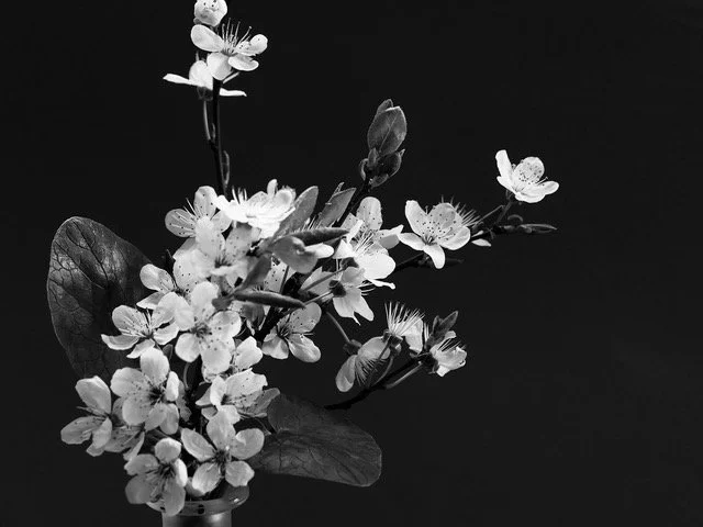 May 6th ~ May Day Magic