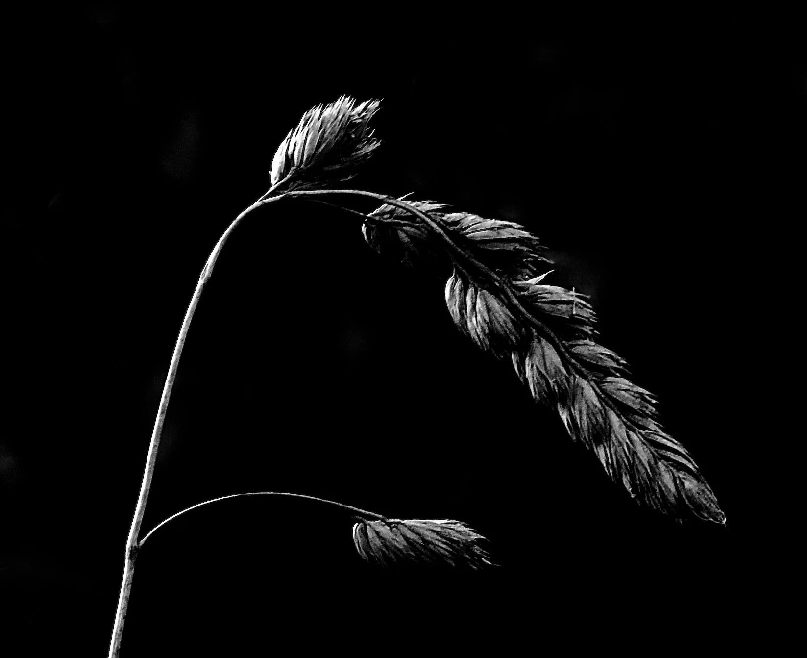 July 7th ~ Magical Practice of Sacrifice