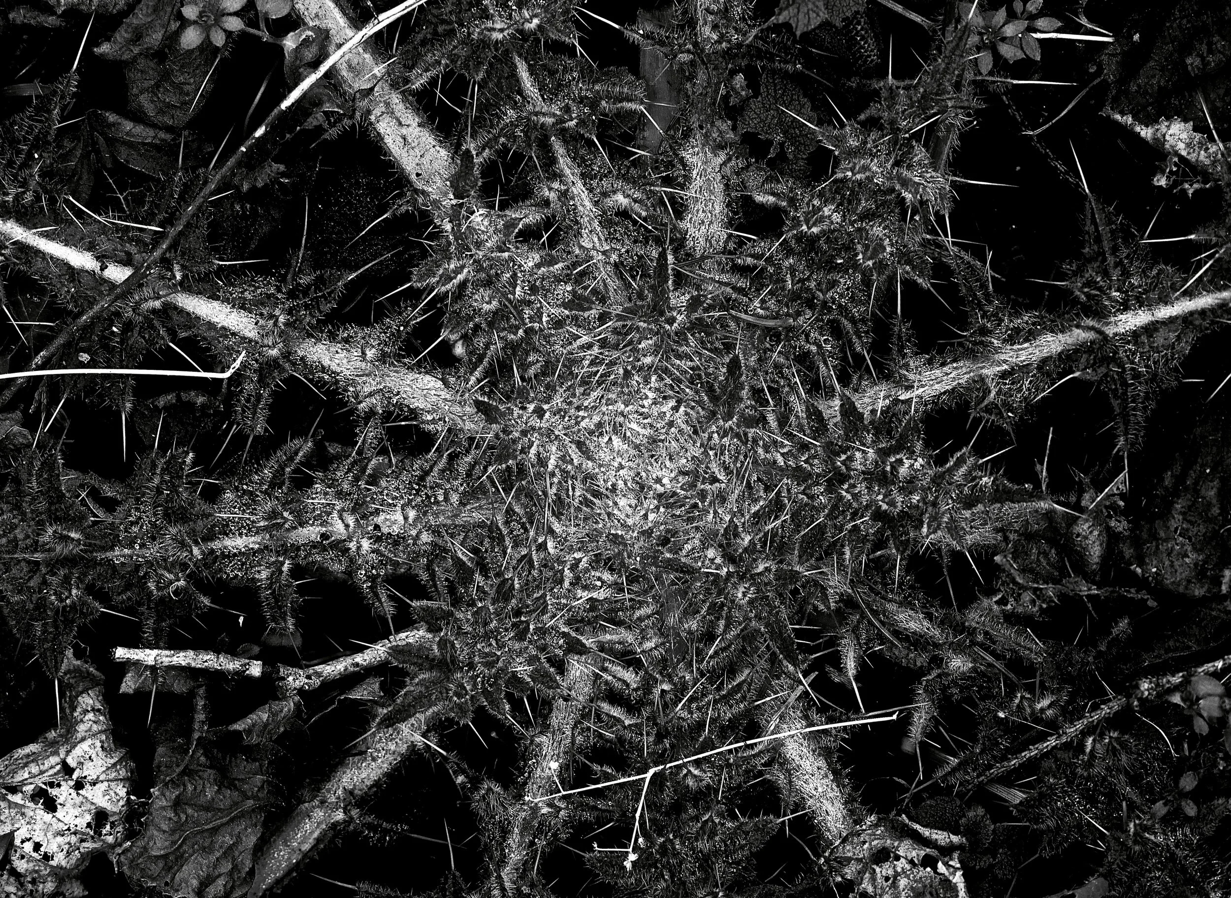 September 16th ~ Of Banes and Curses