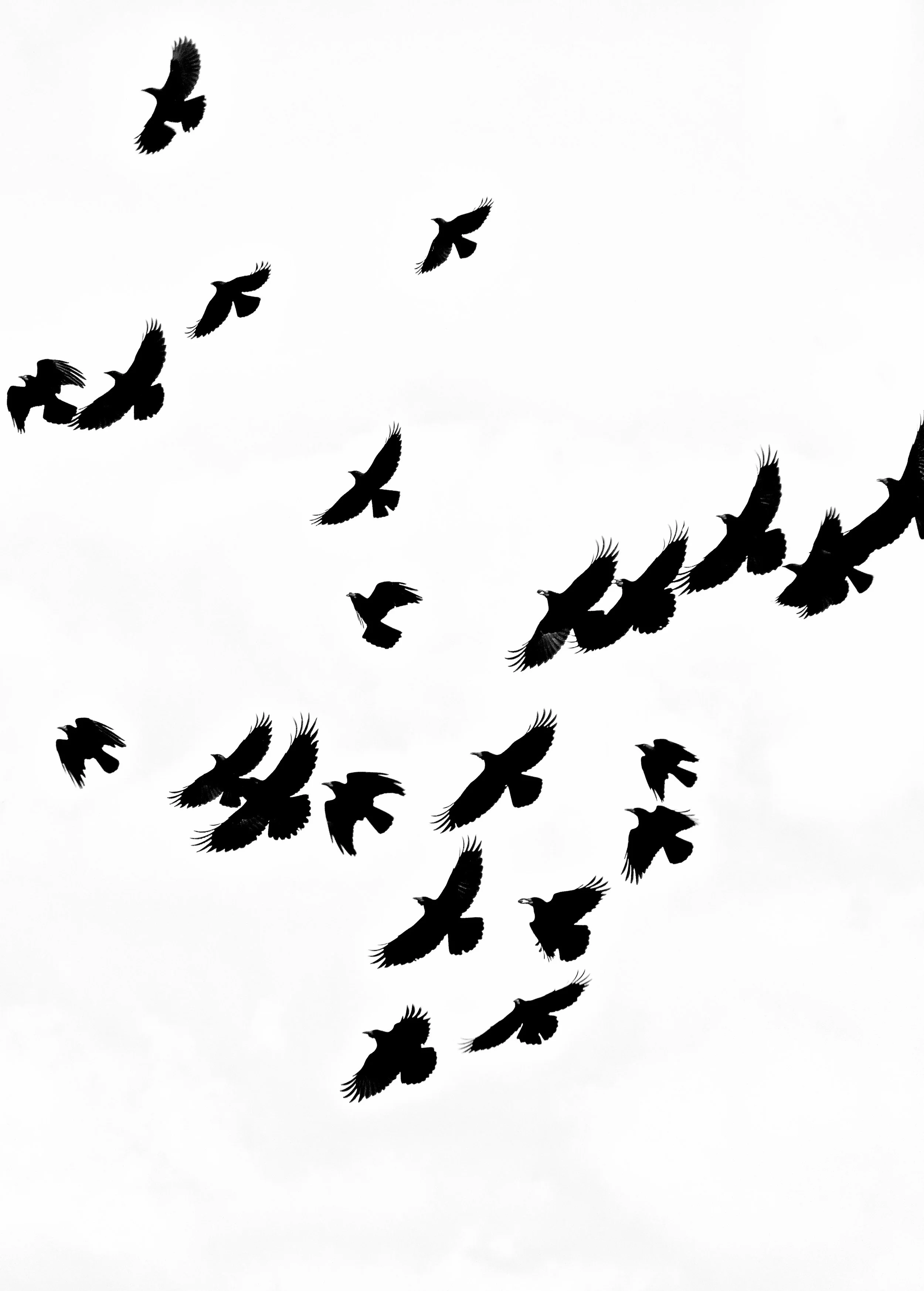 October 8th ~ Reading Omens