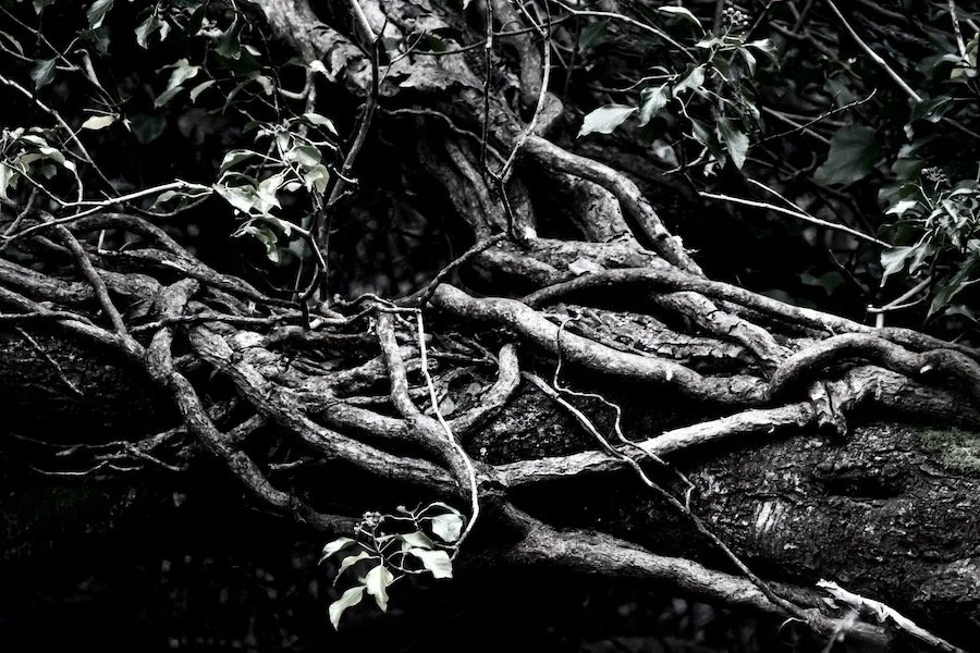 February 16th ~ Creating Magical Altars