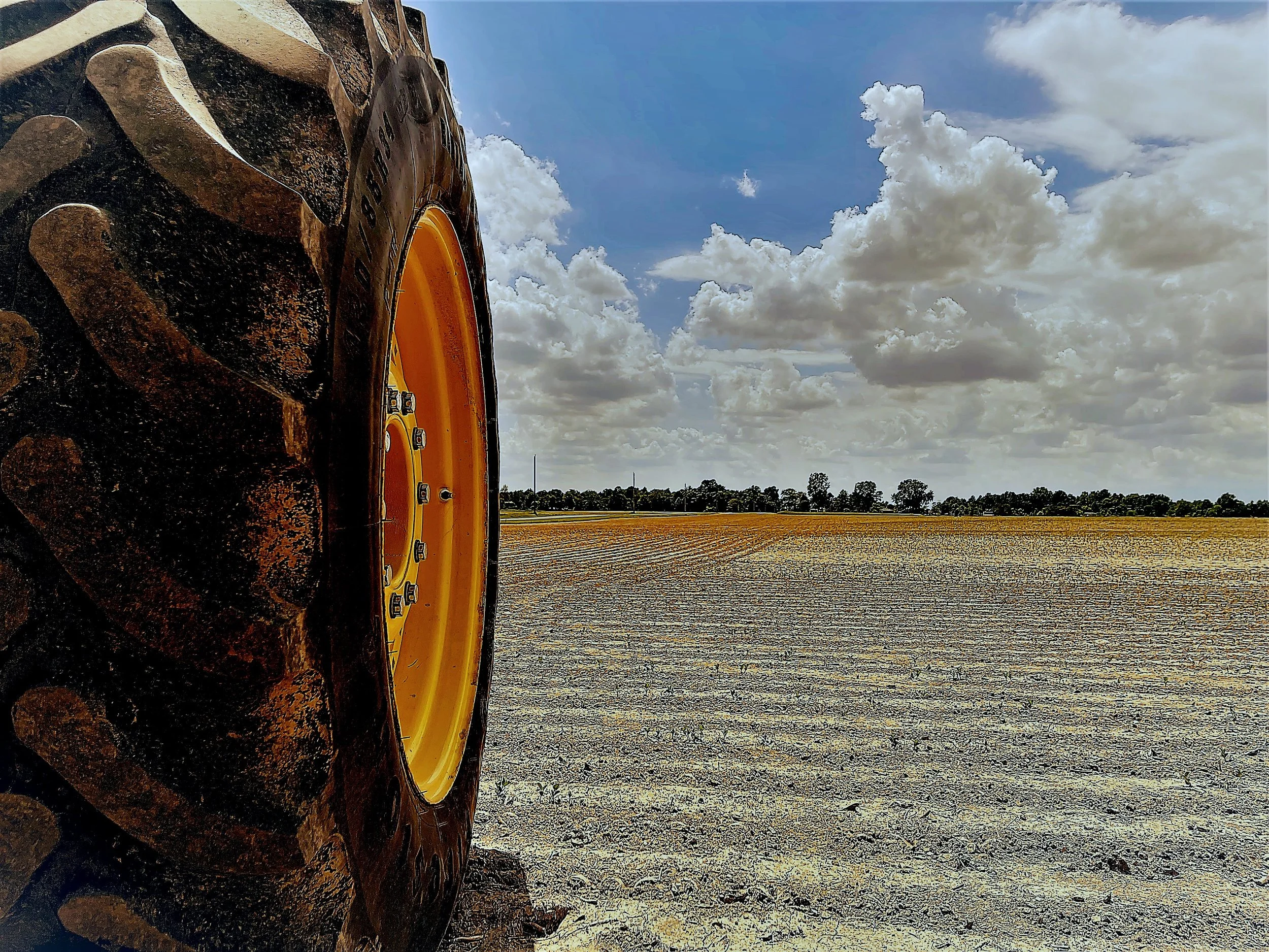 Roger's Tire Service