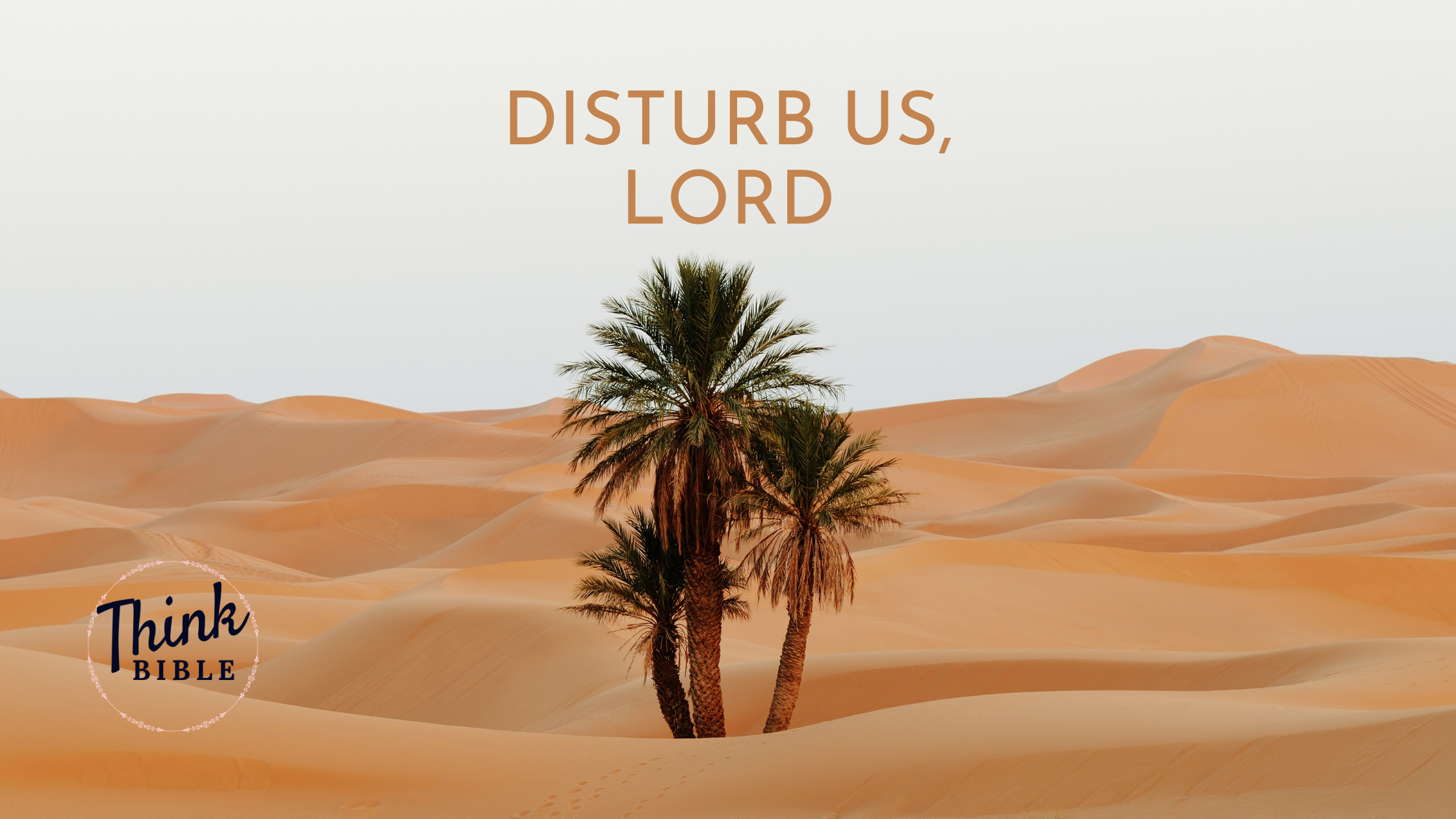 Disturb Us, Lord
