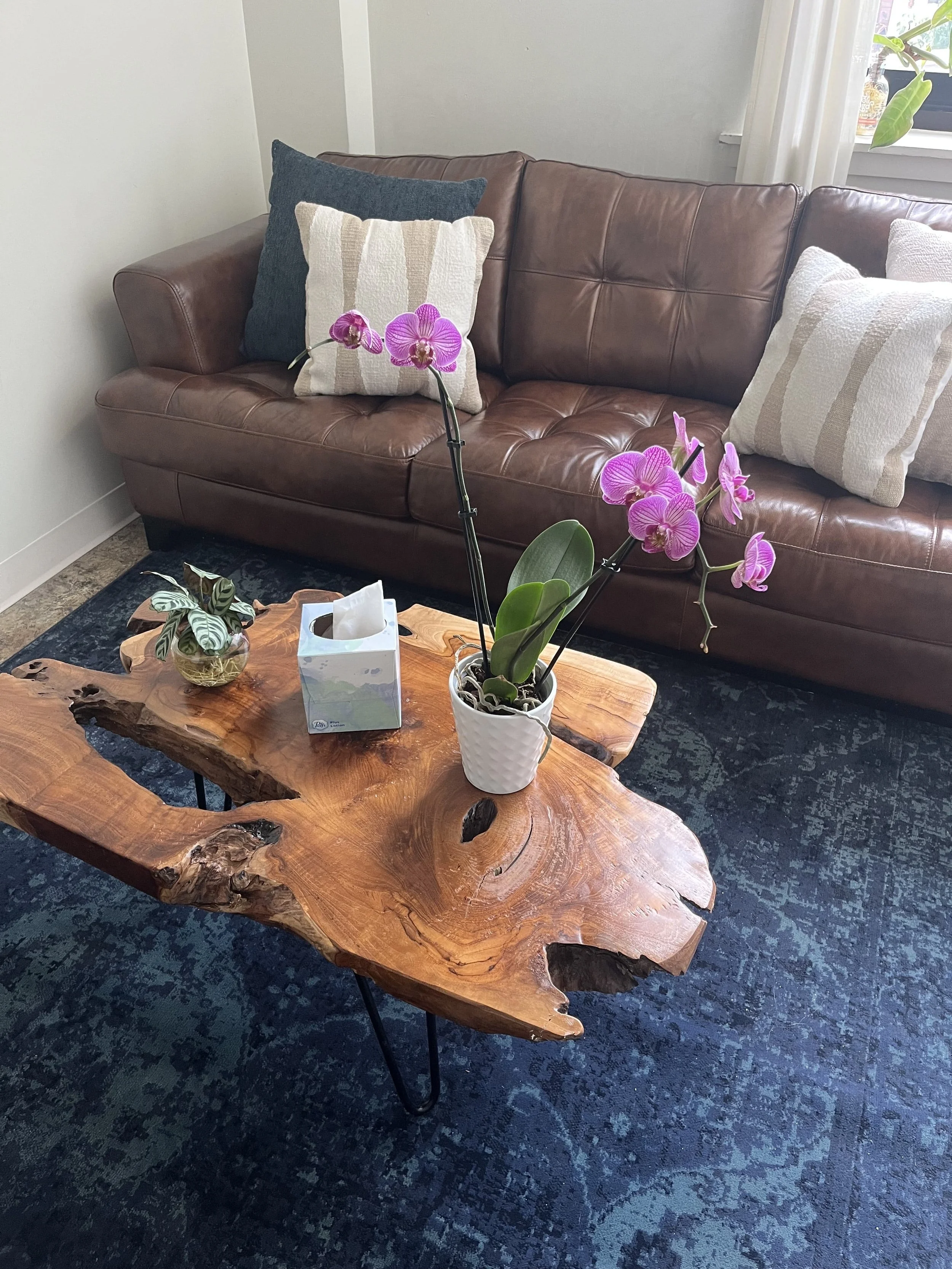 Living room with a brown leather sofa, decorative pillows, a rustic wooden coffee table, a potted orchid with pink flowers, a smaller potted plant, tissue box, and a window with white curtains.