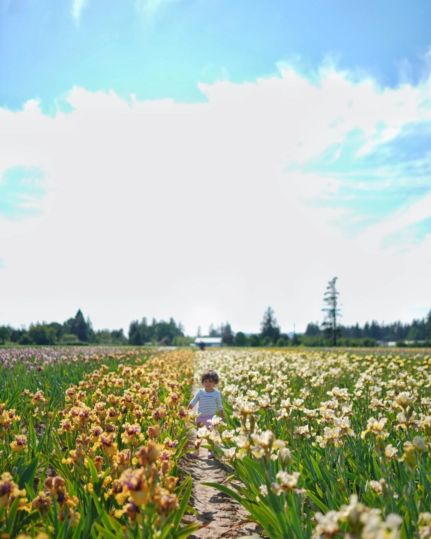 Making memories out in Oregon with my lil lady 💕