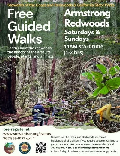 Free Guided Tour at Armstrong Redwoods