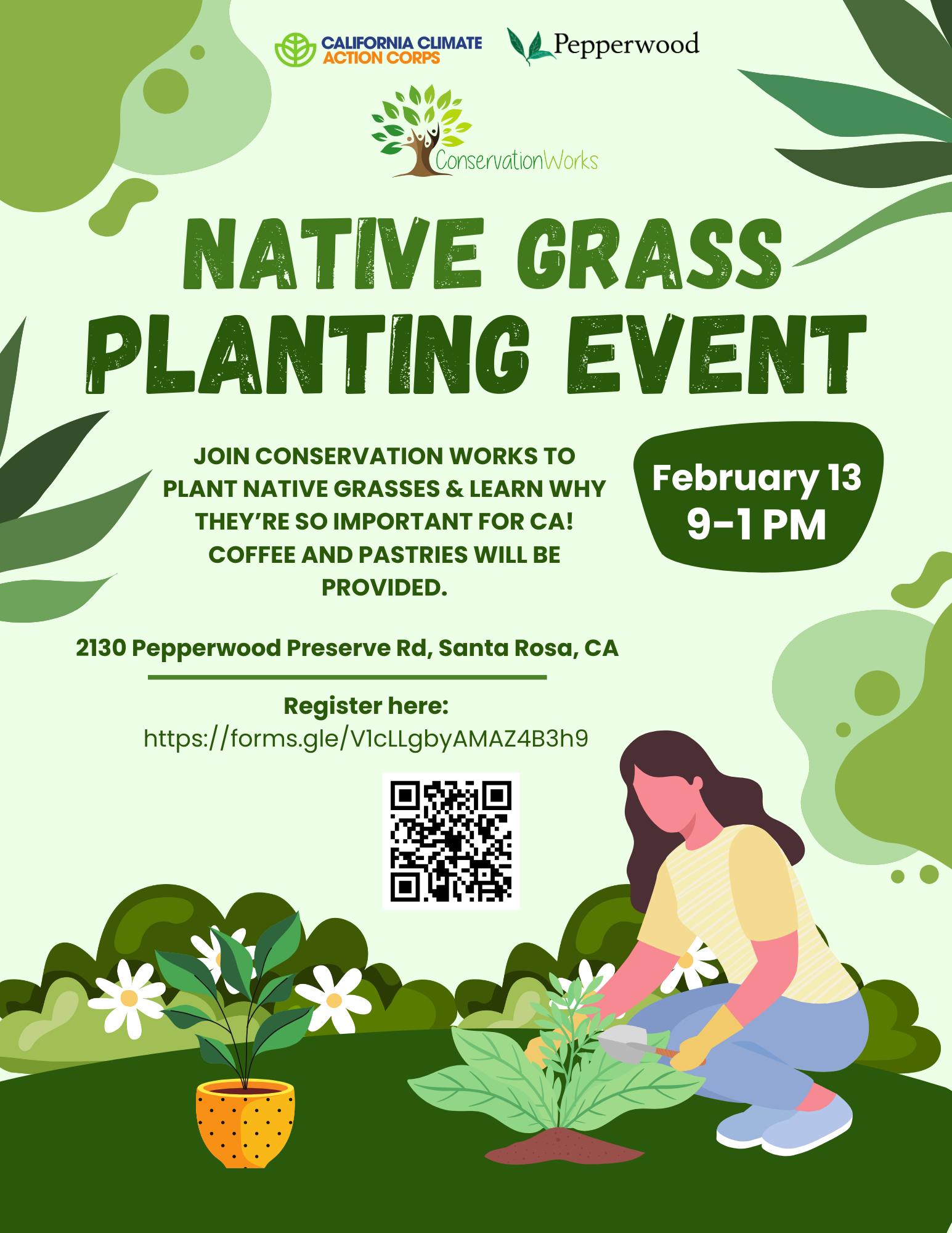 Native Grass Planting