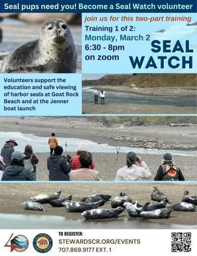 Seal Watch Volunteer Training