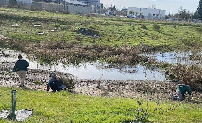 Laguna Stewards Colgan Creek/ Día de Laguna Stewards