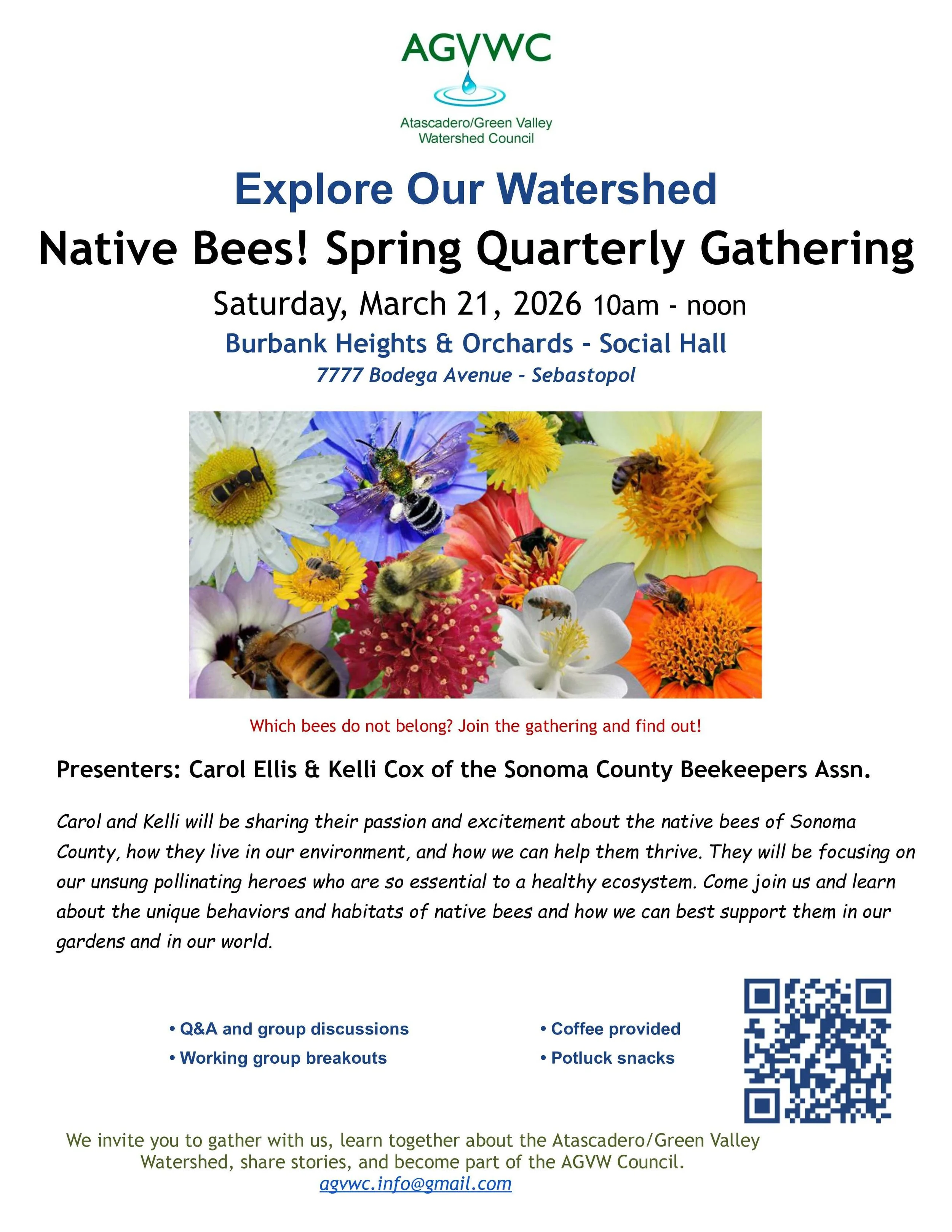 Native Bees! AGVWC Spring Gathering