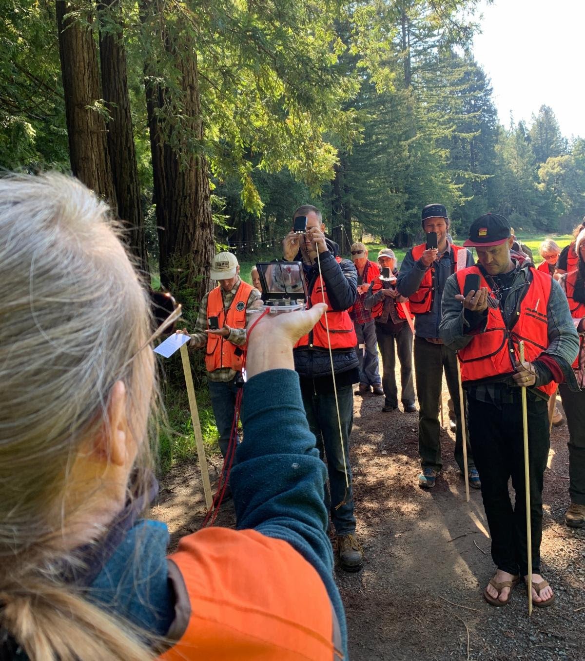 Forest Stewardship Workshop Series: Online with a field day in  Mendocino County