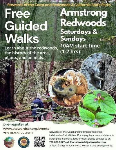 Guided Walks at Armstrong Redwoods (every Saturday & Sunday)