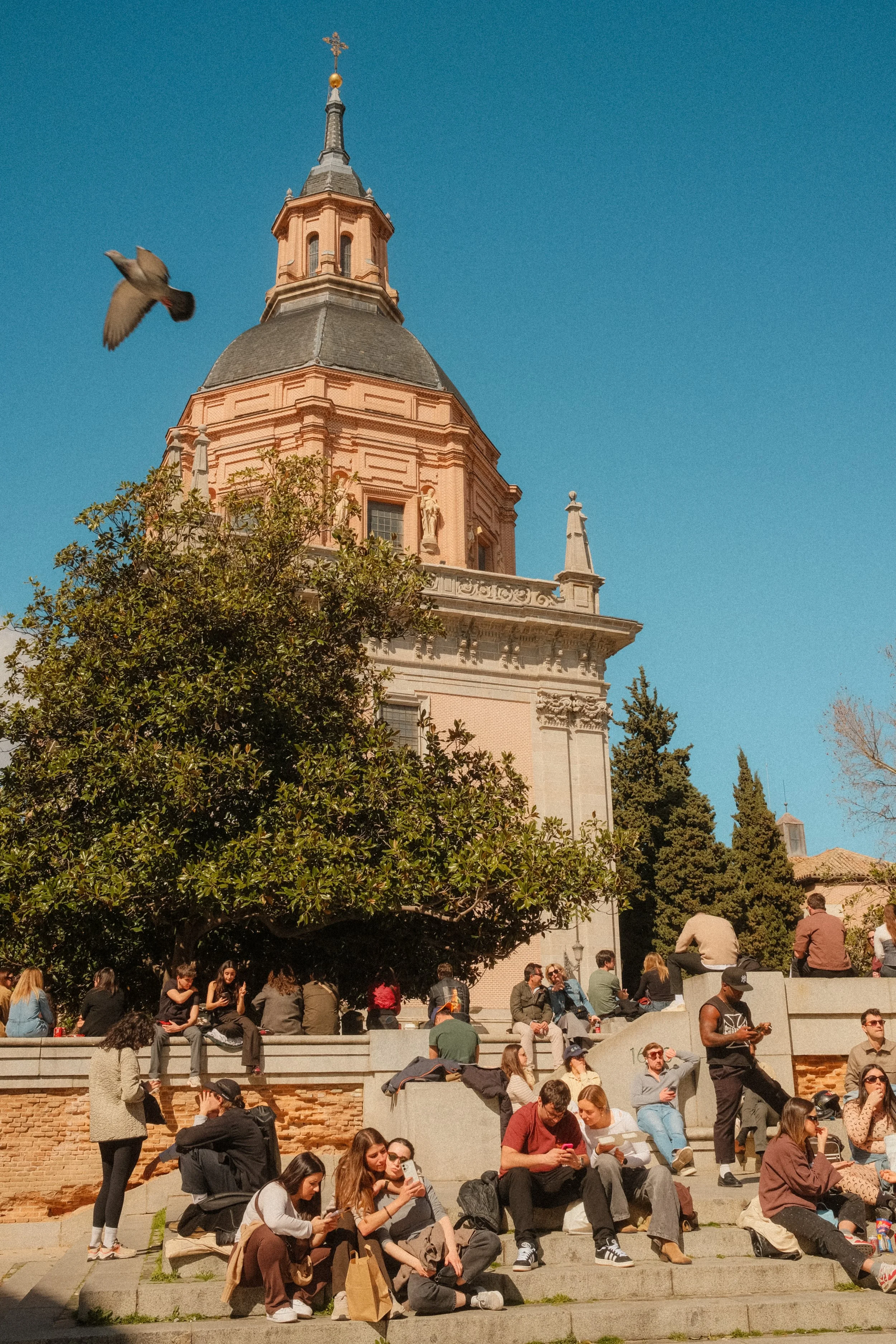 madrid-san-andres-church-people-steps-bird-travel-photography-25.jpg