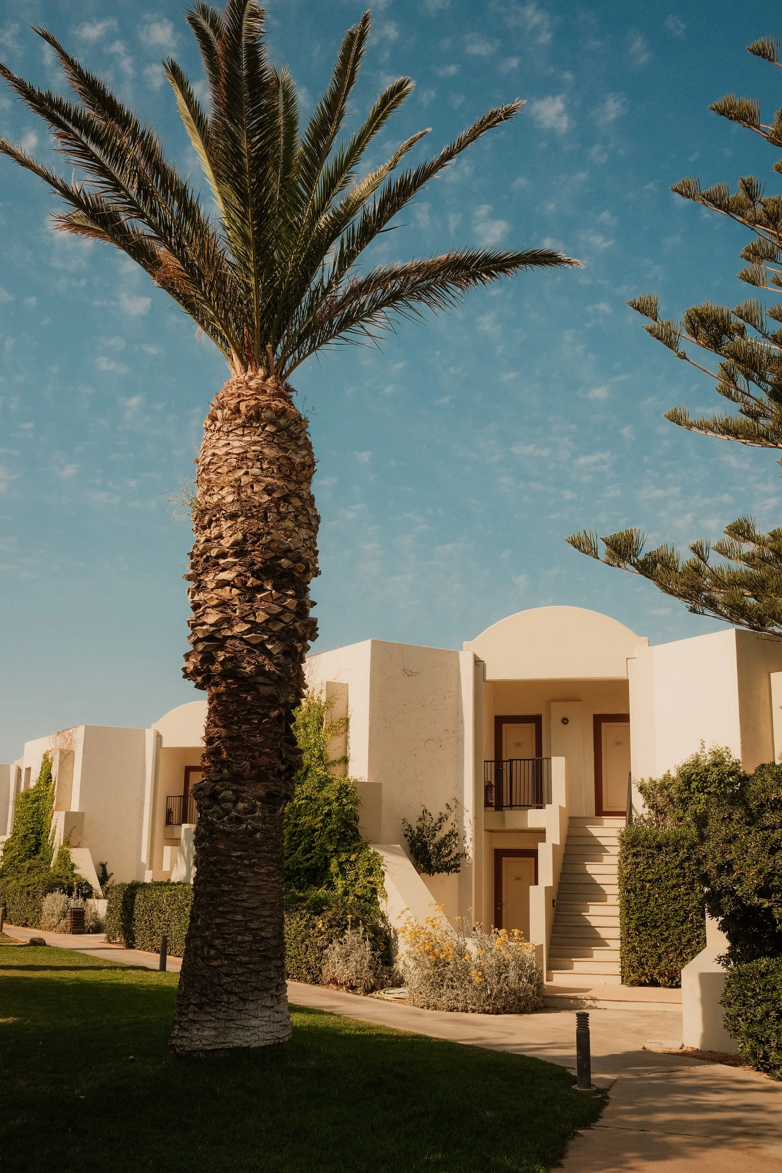 agapi-beach-resort-crete-greece-hotel-bungalow-palm-tree-white-architecture-blue-sky-hospitality-photography-07.jpg