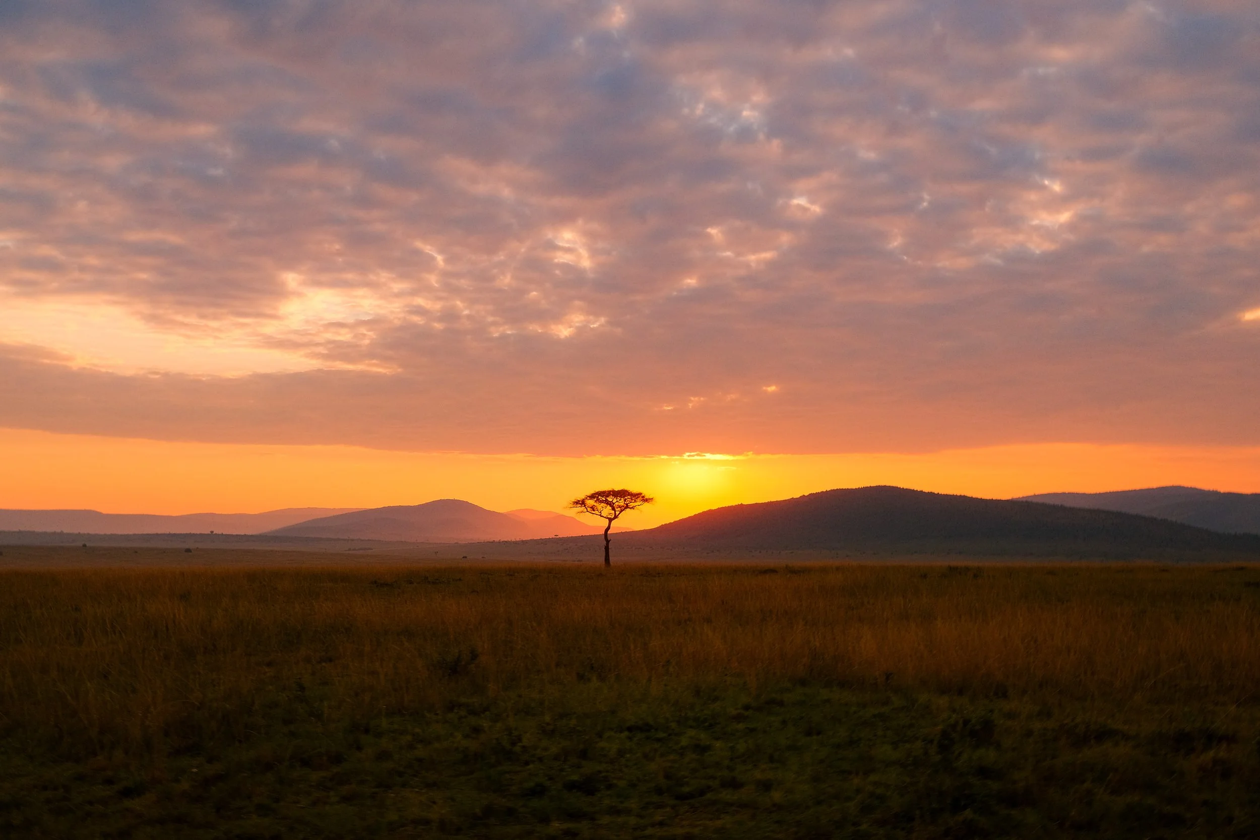 enkewa-safari-camp-masai-mara-kenya-lone-acacia-tree-sunrise-golden-savanna-landscape-travel-photography-07.jpg