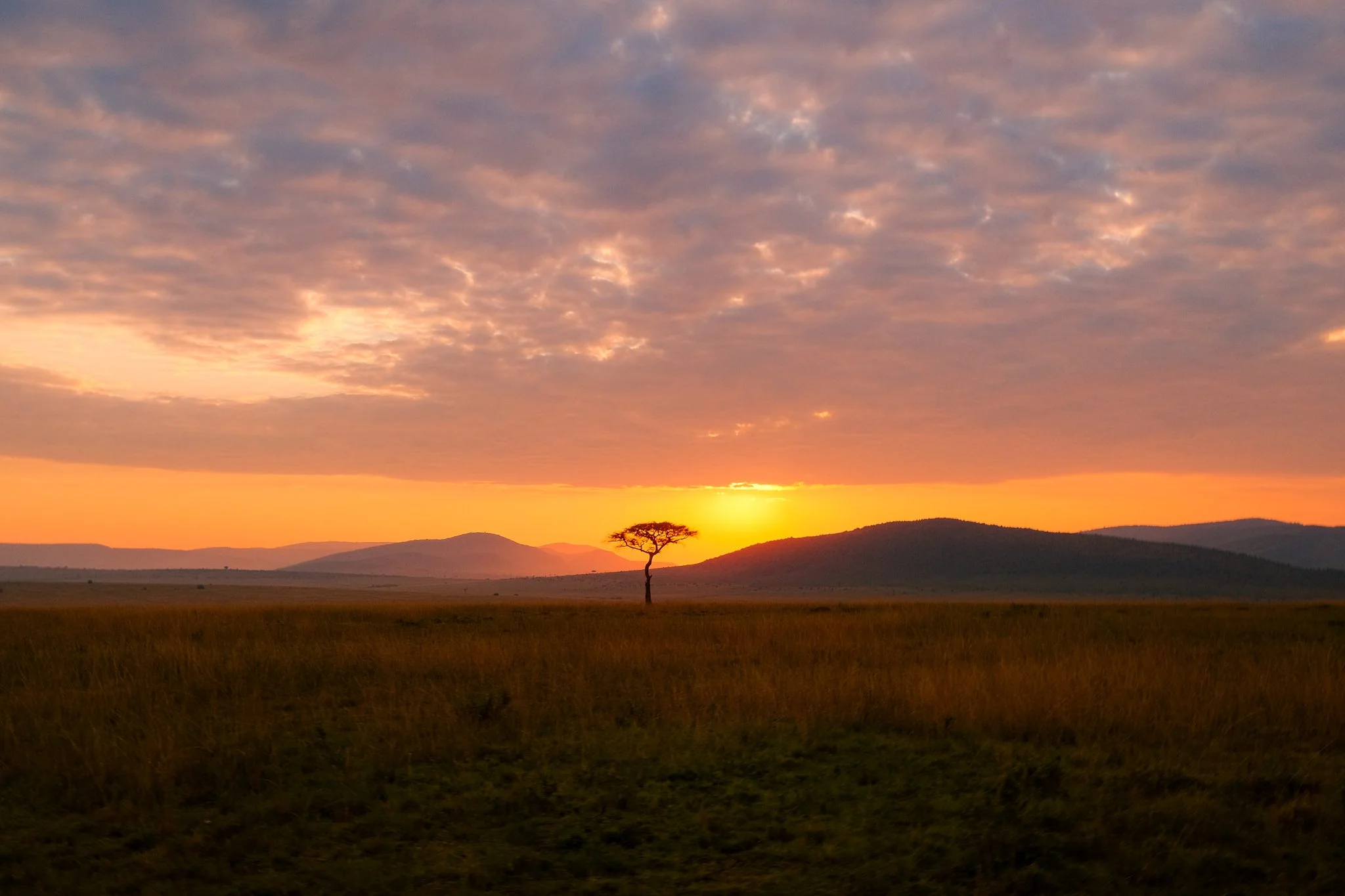 enkewa-safari-sunset-landscape-kenya-maasai-mara.jpg