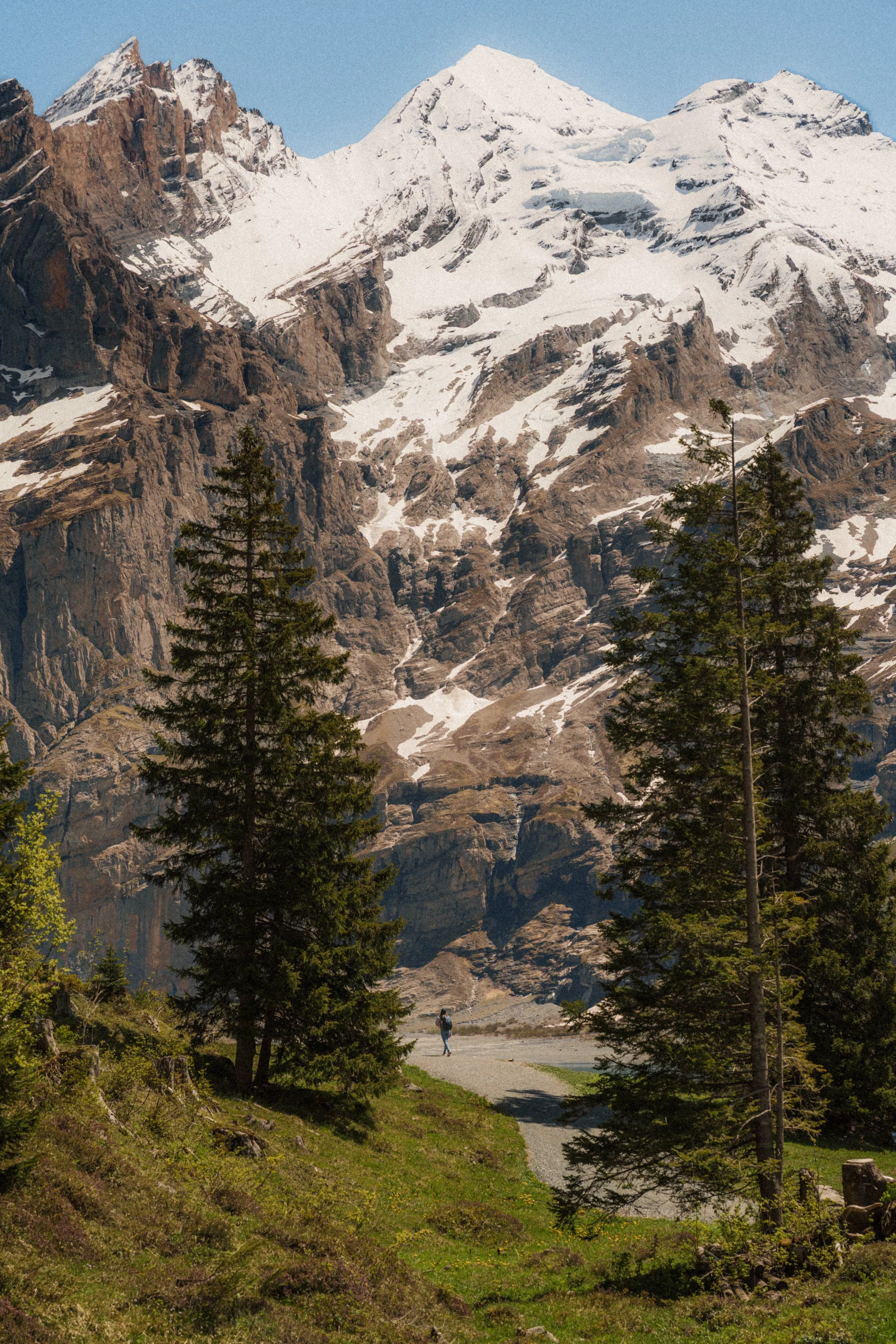 switzerland-alpine-hiking-couple-mountain-trail-flowers-travel-photography-61.jpg