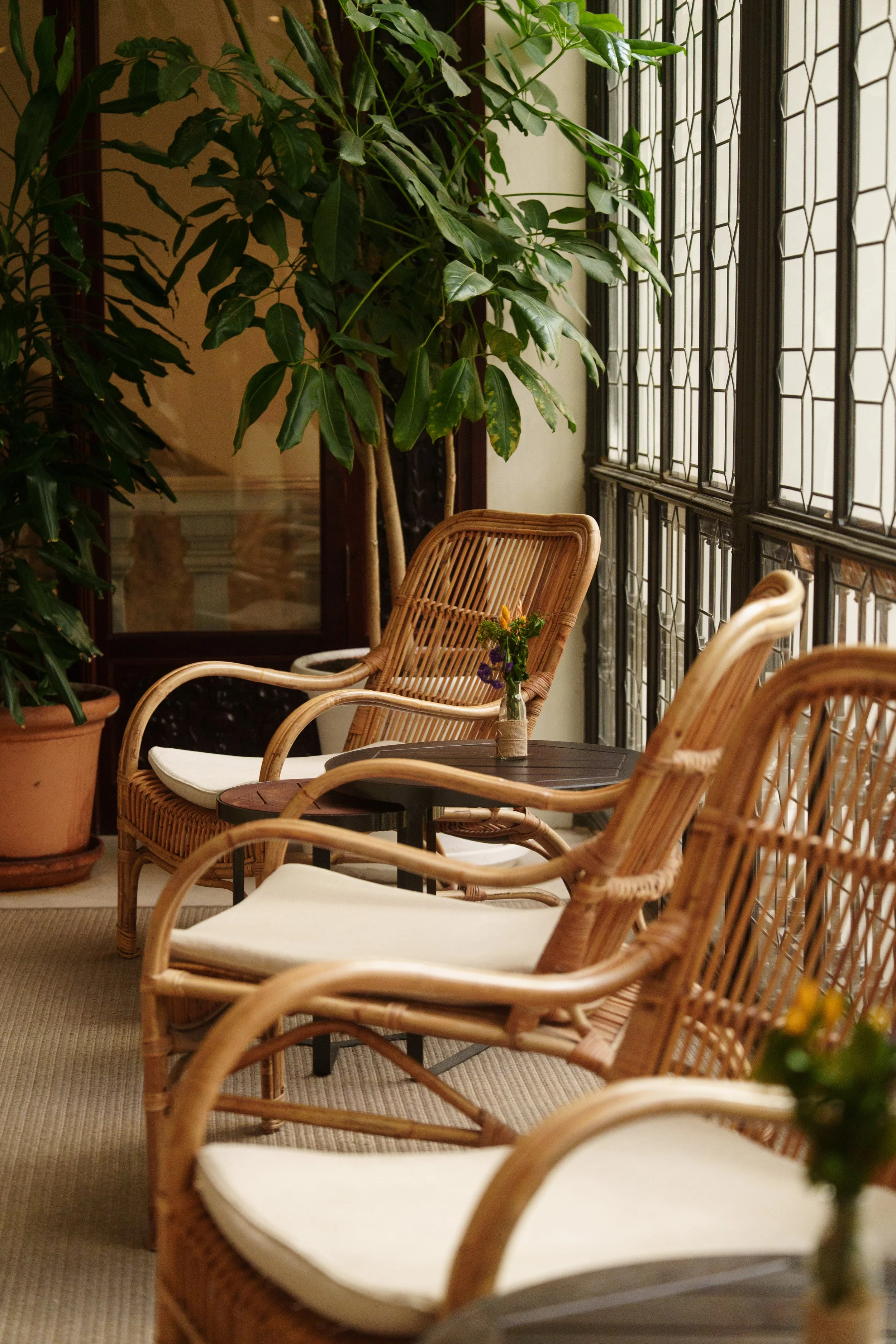hotel-lounge-rattan-chairs-h10-palacio-colomera.jpg