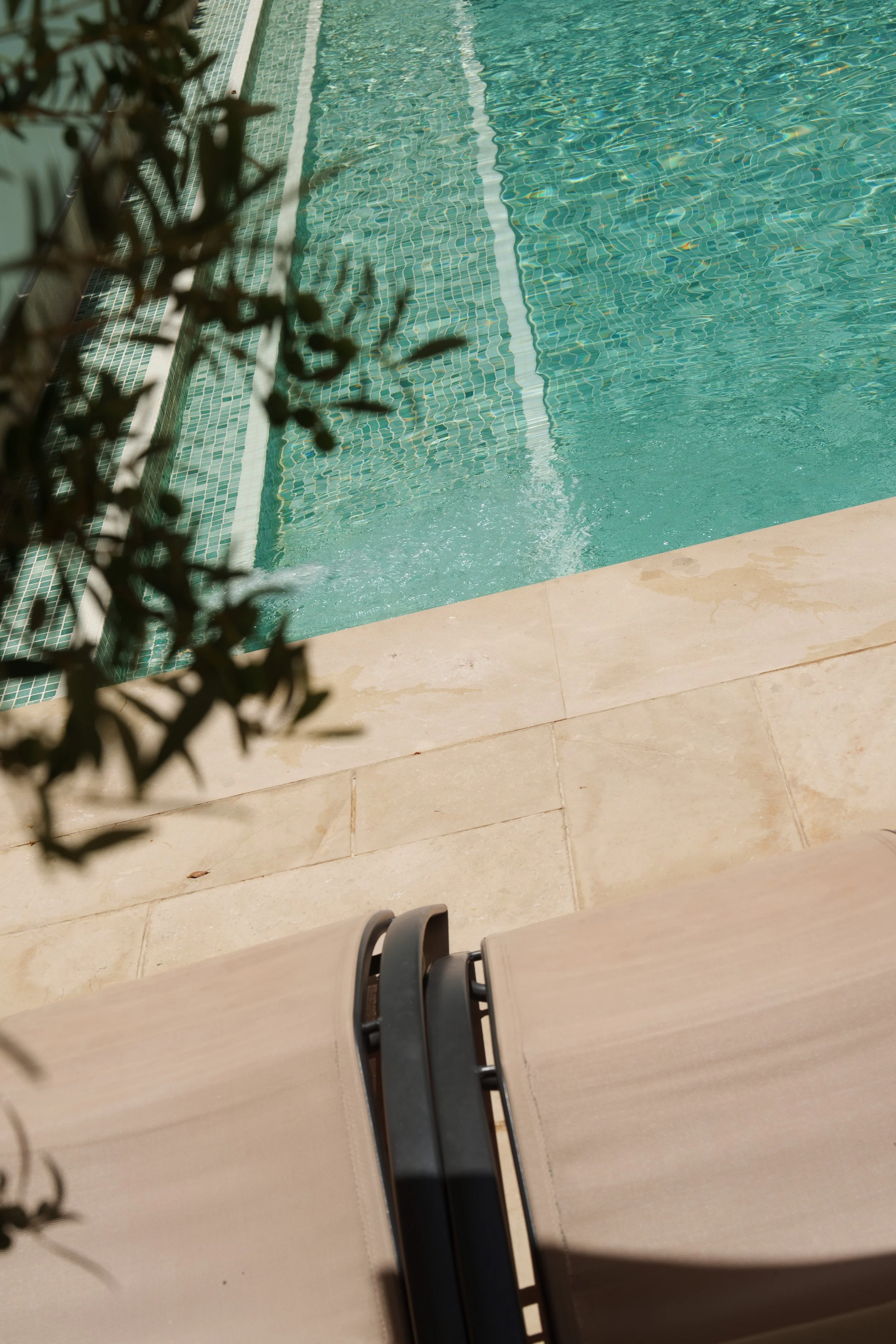 pool-edge-olive-tree-h10-palacio-colomera.jpg