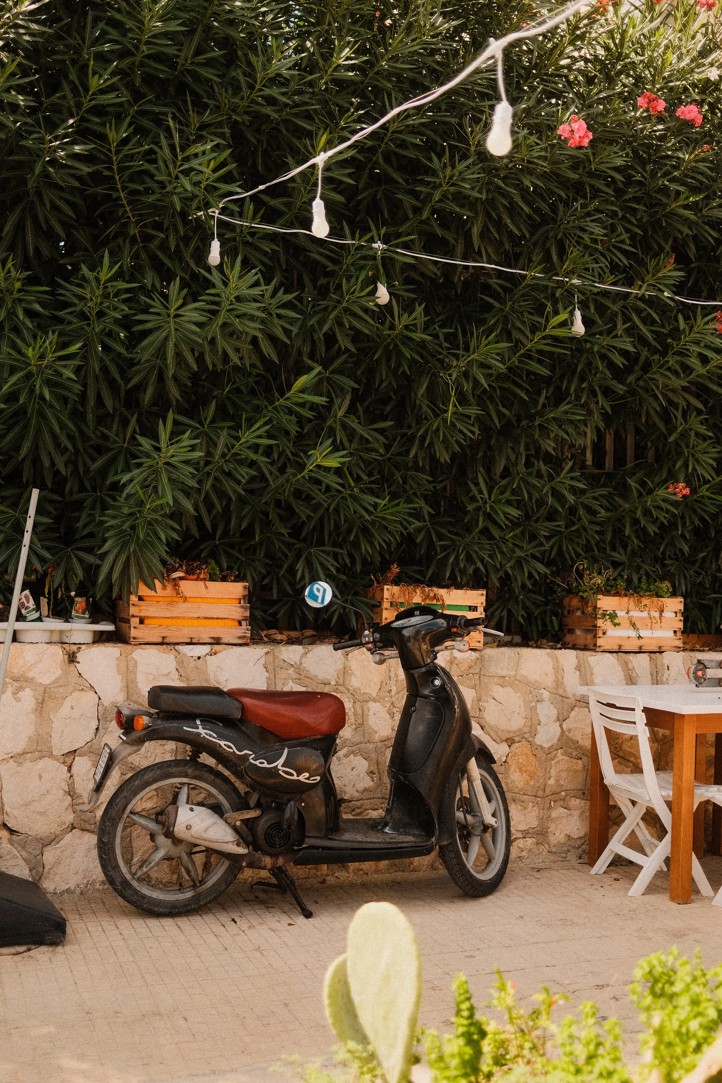 sicily-scooter-garden-string-lights-outdoor-dining-travel-photography-13.jpg