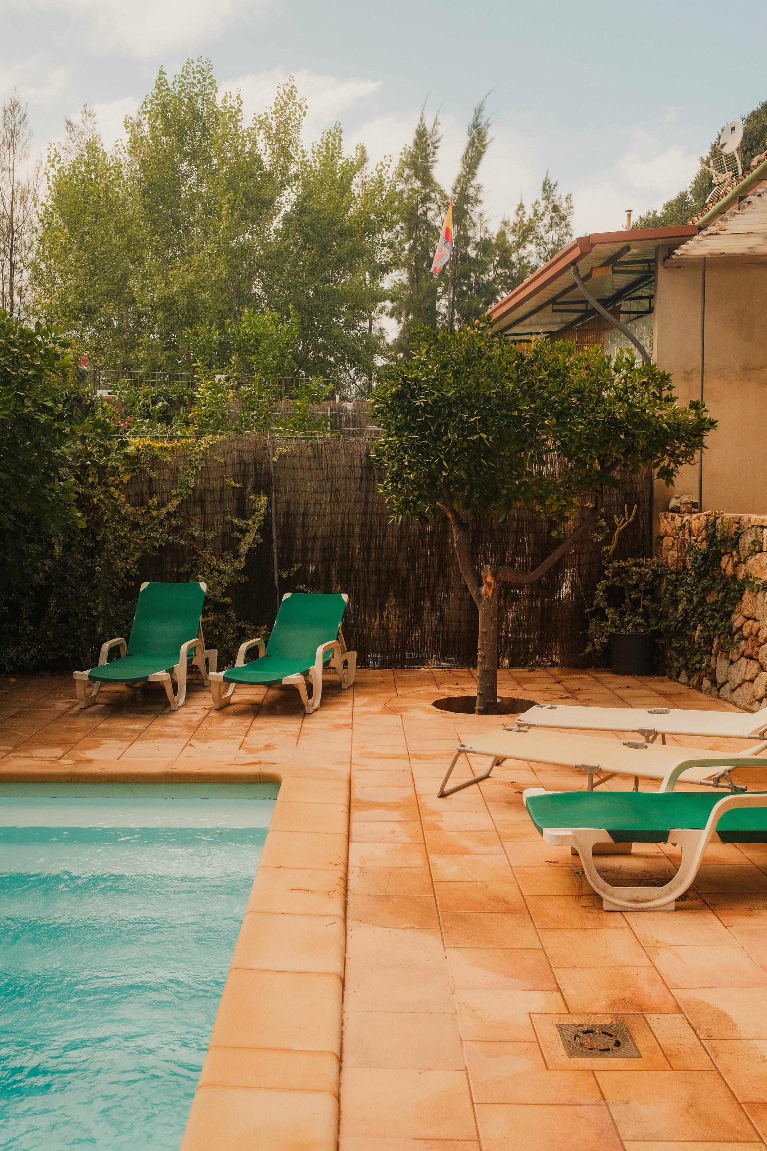 mallorca-villa-pool-green-lounge-chairs-lemon-tree-garden-travel-photography-08.jpg