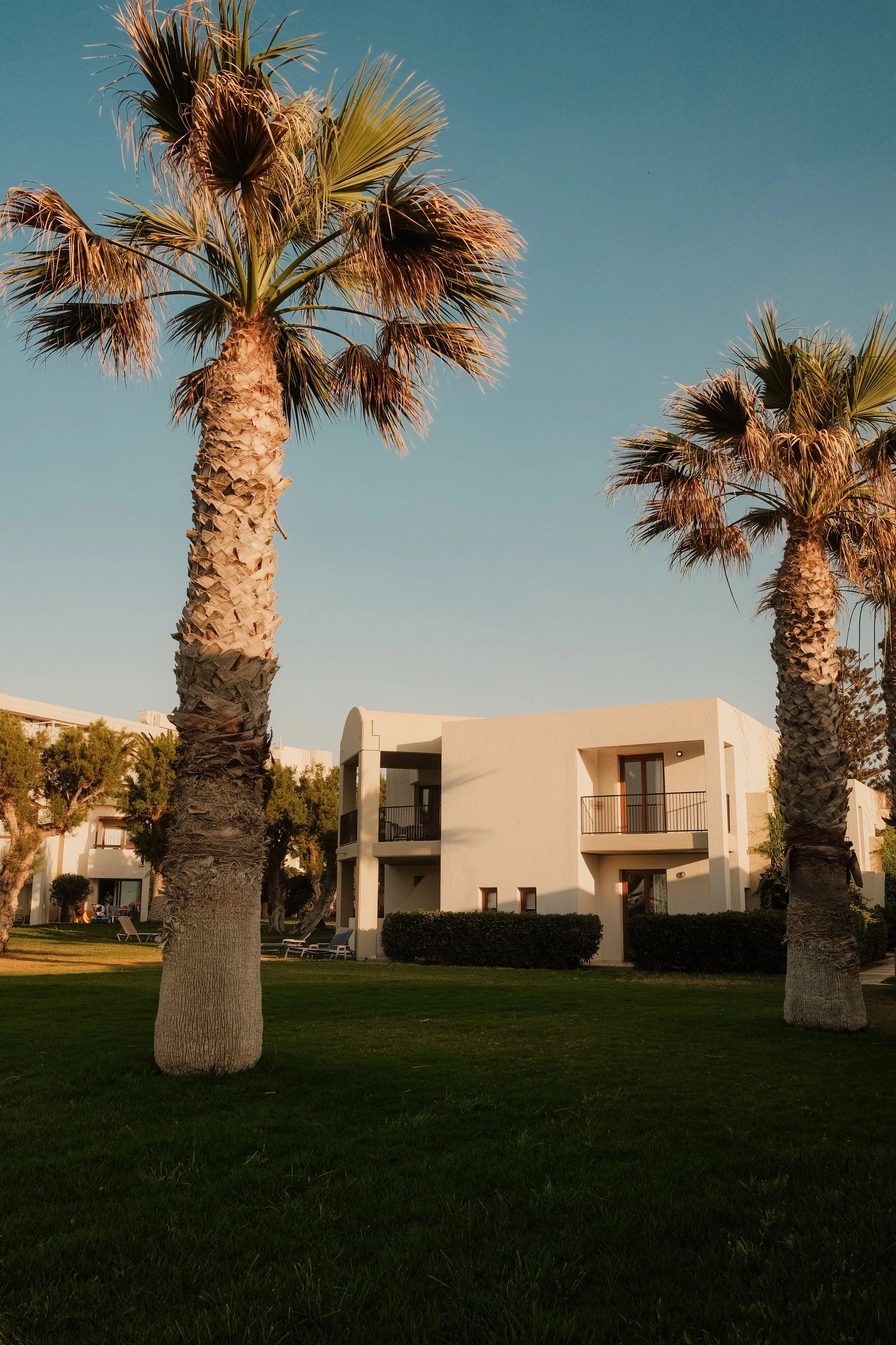 agapi-beach-resort-crete-greece-hotel-exterior-twin-palm-trees-green-lawn-golden-hour-hospitality-photography-12.jpg