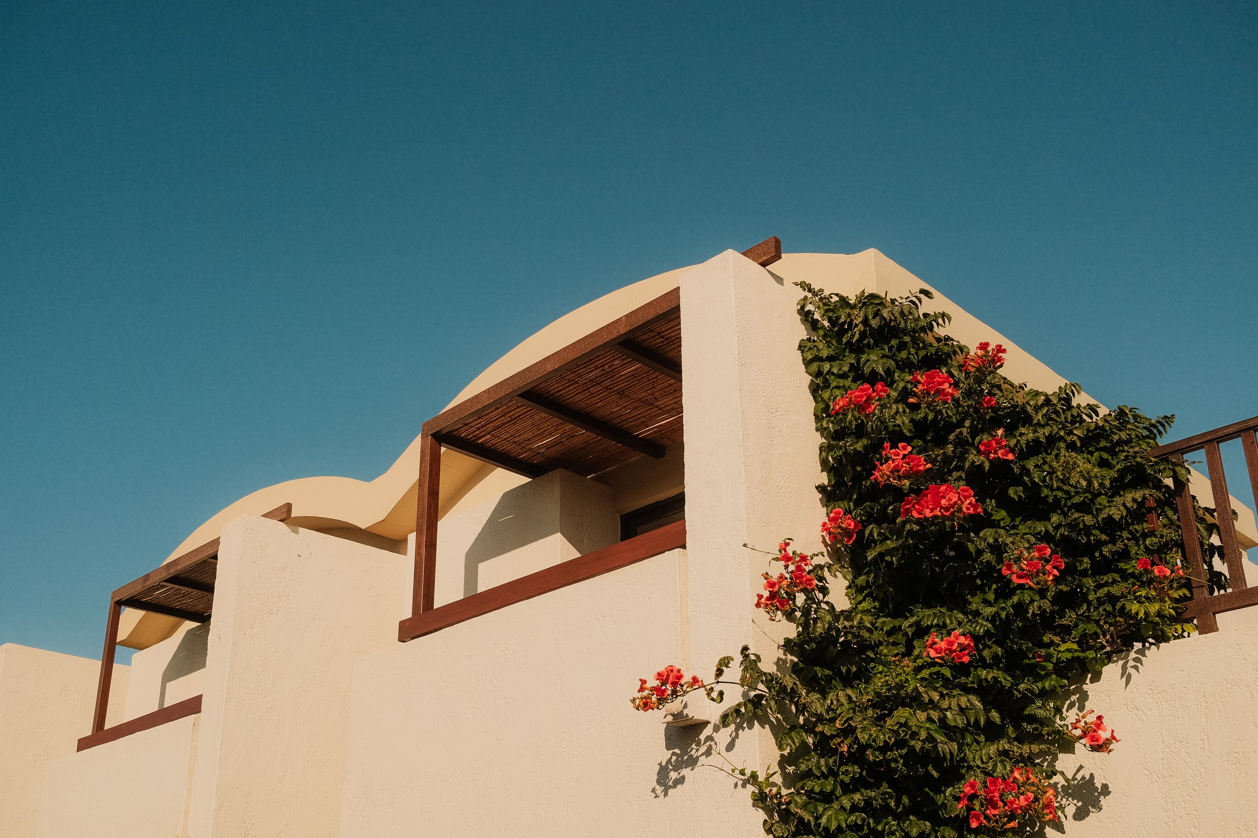 agapi-beach-resort-crete-greece-bungalow-wavy-architecture-bougainvillea-flowers-hospitality-photography-34.jpg