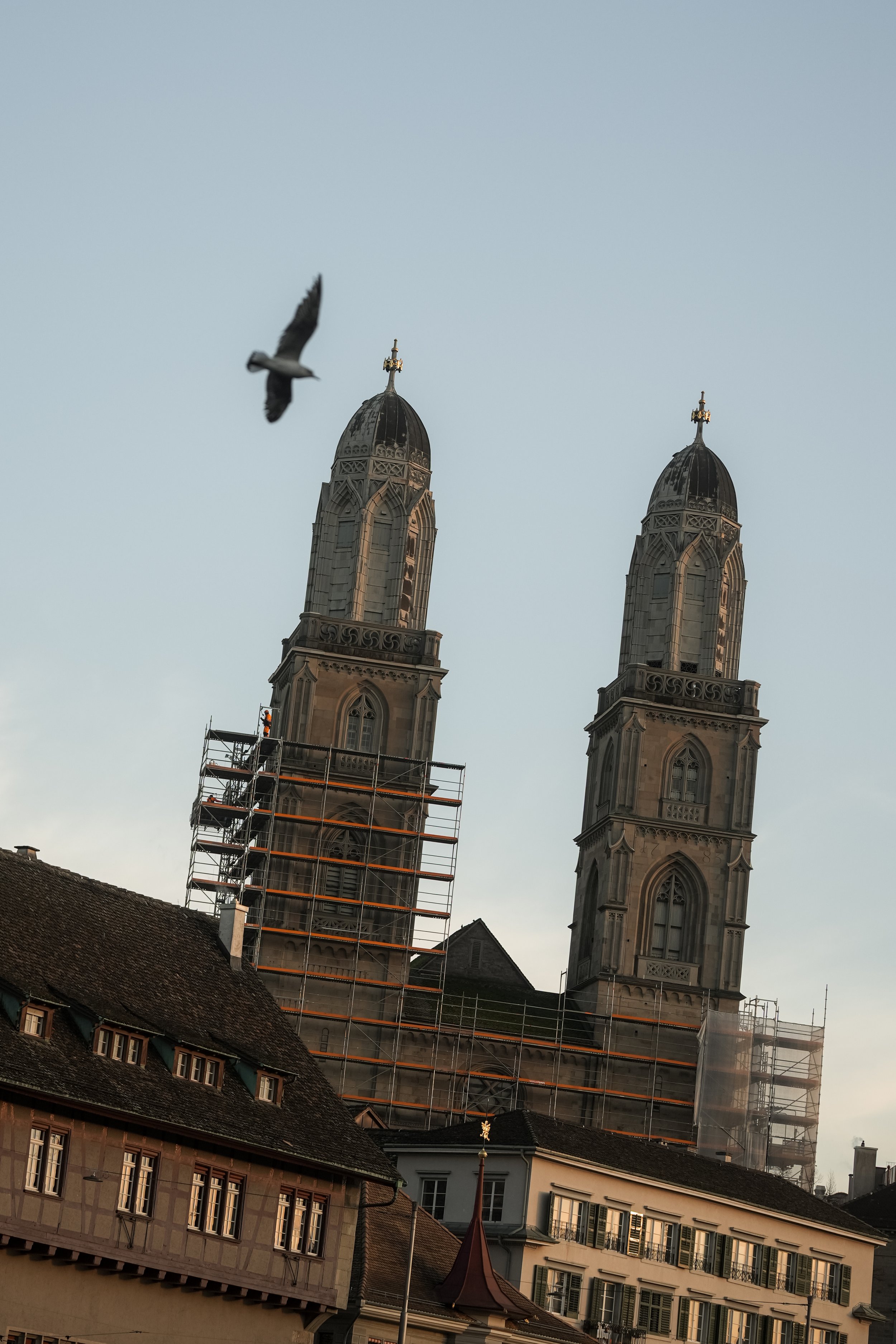 switzerland-zurich-grossmunster-twin-towers-bird-architecture-travel-photography-11.jpg