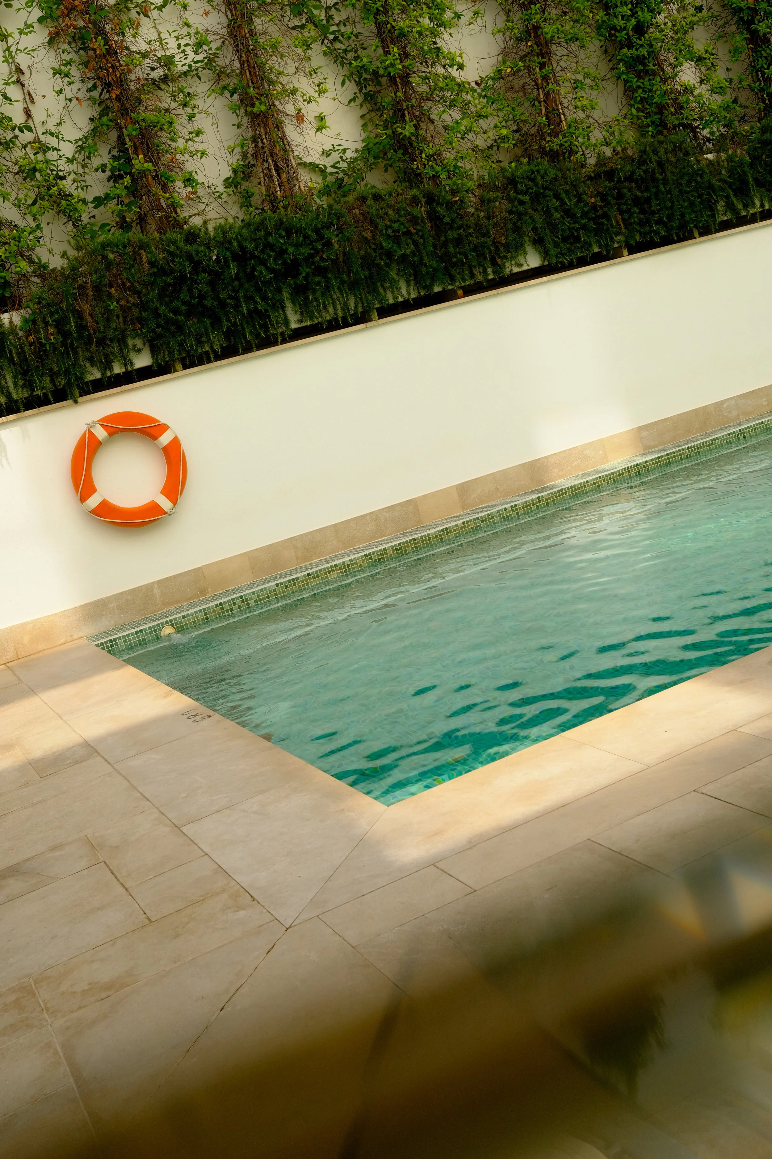 pool-life-ring-vine-wall-01-h10-palacio-colomera.jpg