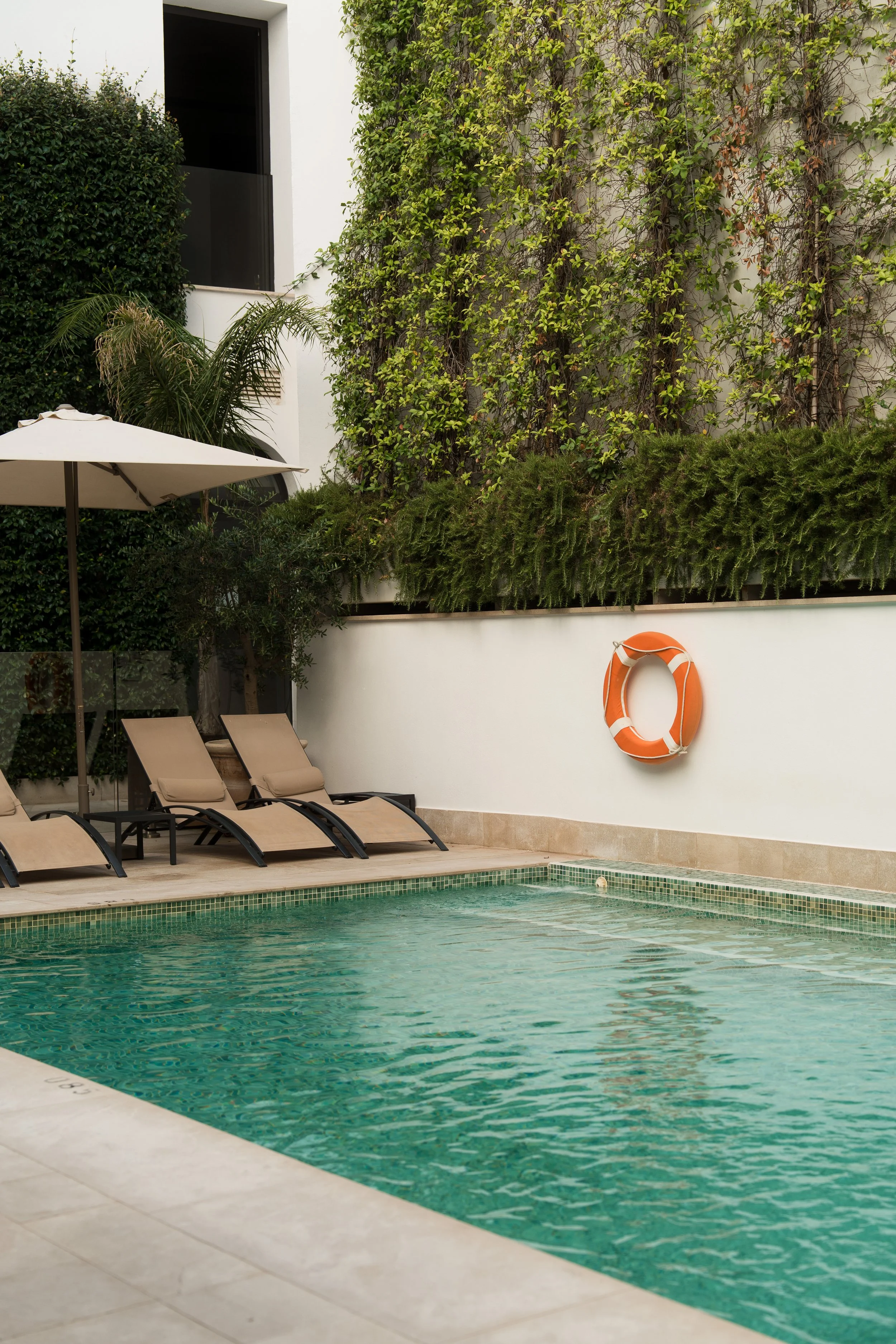 pool-life-ring-vine-wall-02-h10-palacio-colomera.jpg