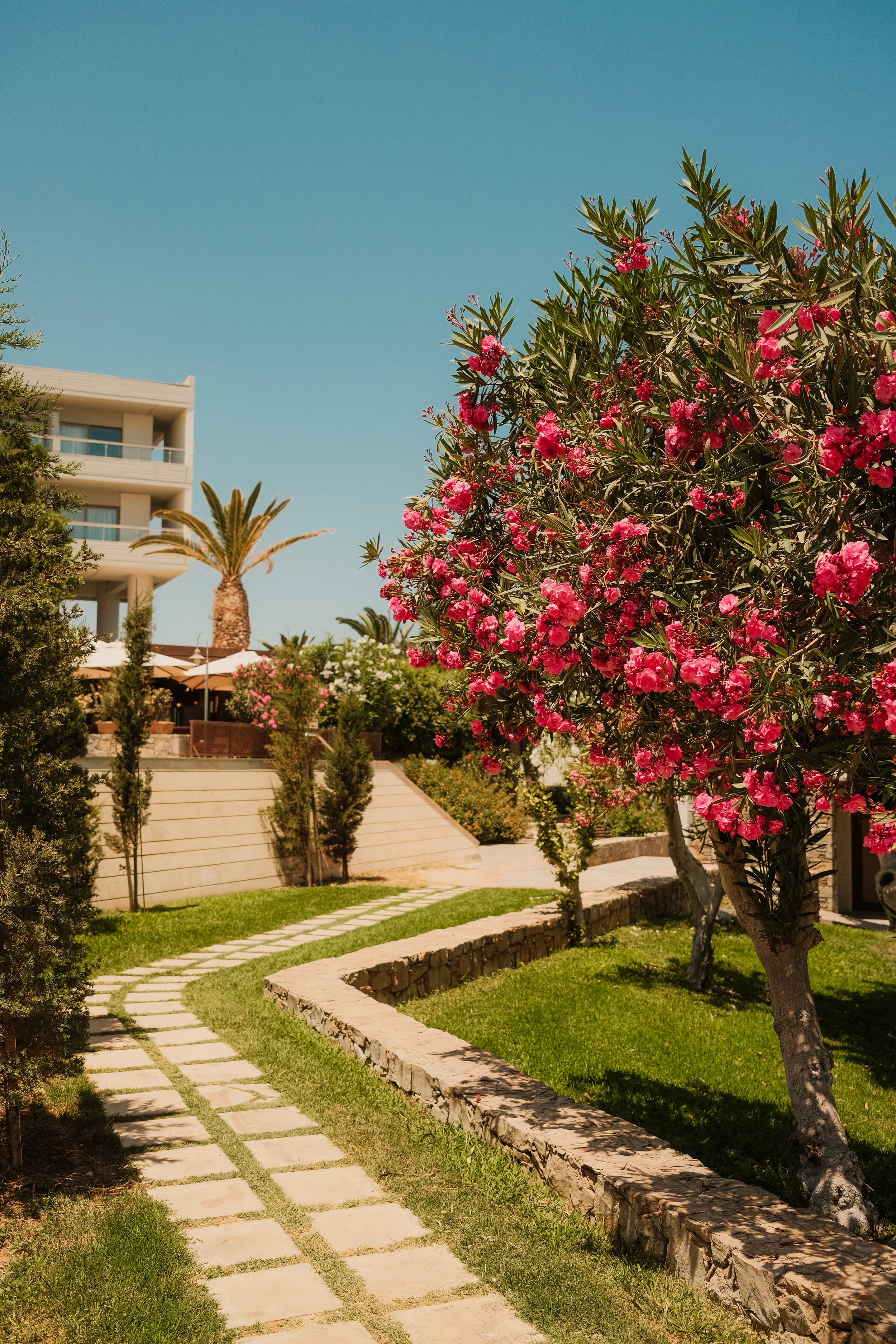 agapi-beach-resort-crete-greece-hotel-garden-oleander-flowering-tree-pathway-hospitality-photography-02.jpg