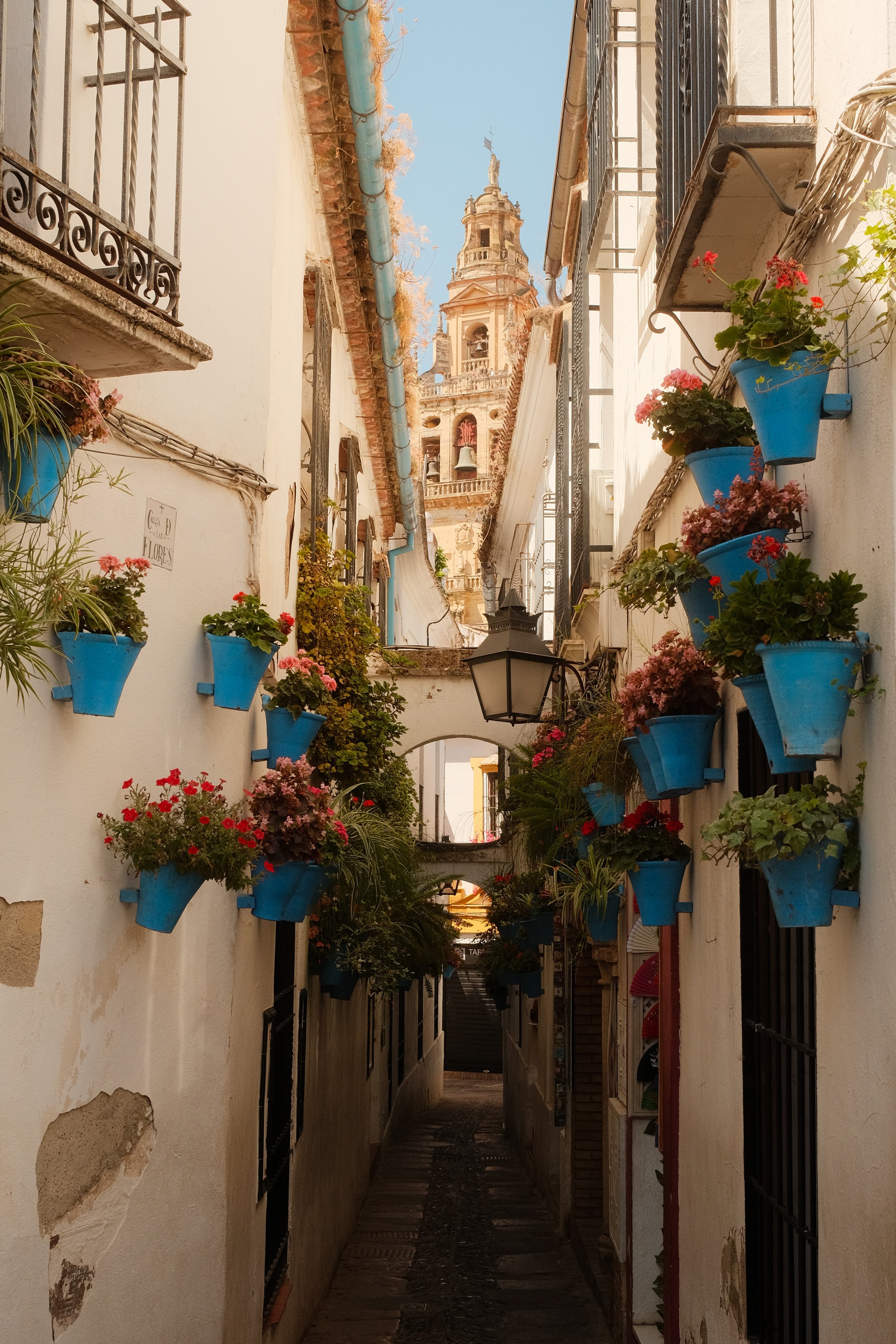 calleja-de-las-flores-cordoba-spain.jpg
