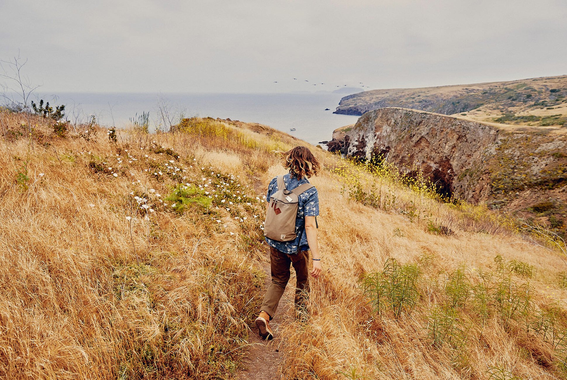 man wearing a backpack trekking through reeds on a cliff top