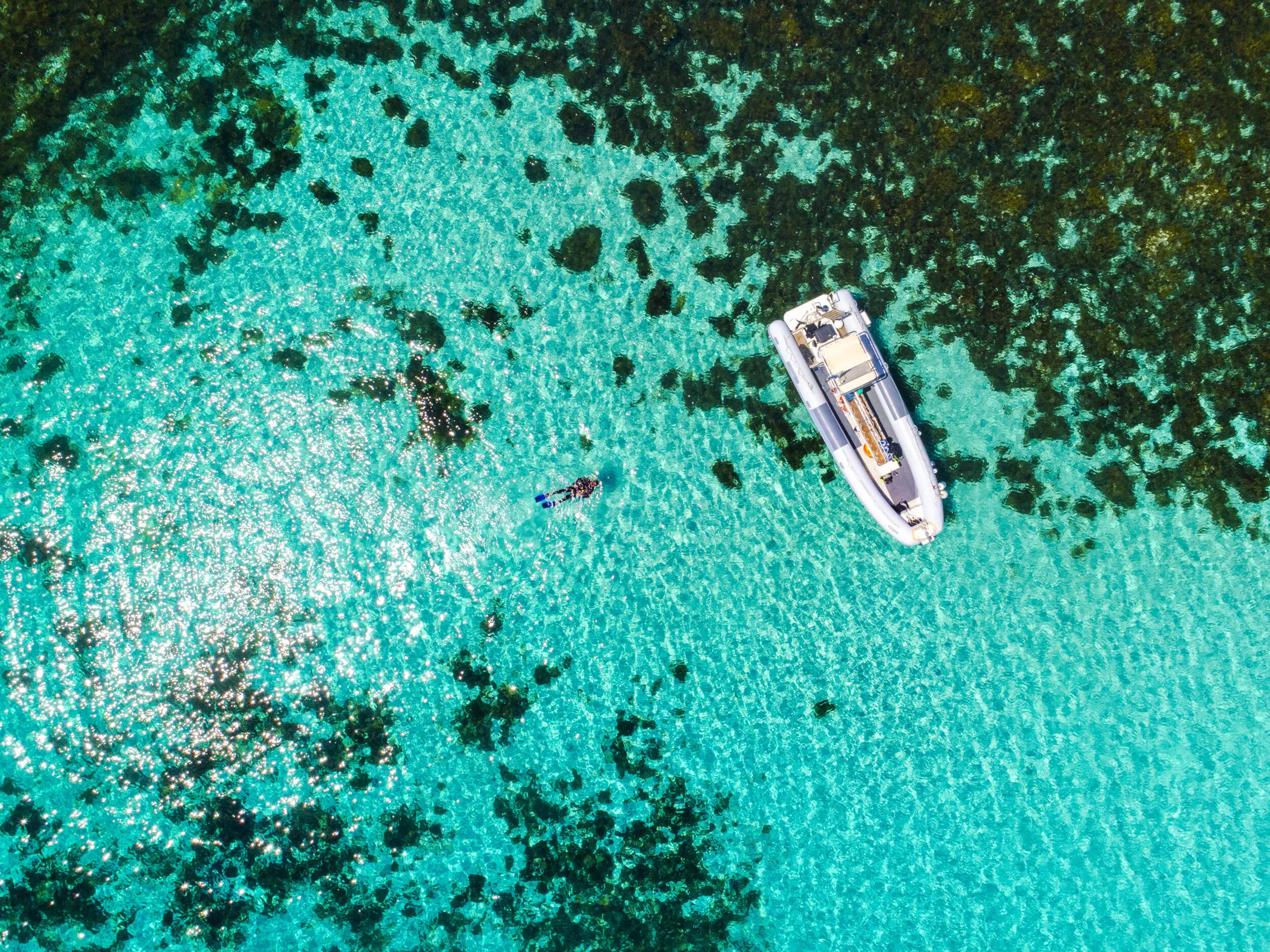 10 Key Insights on Consumer Plans for Spring and Summer 2022