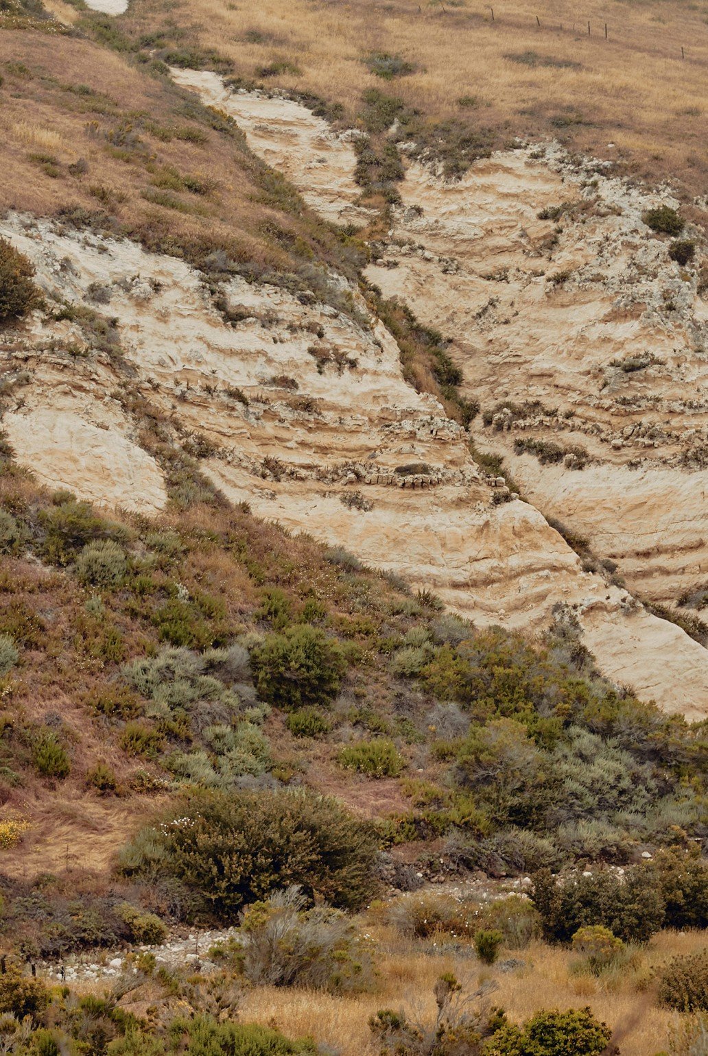 landscape of cliffs and trees