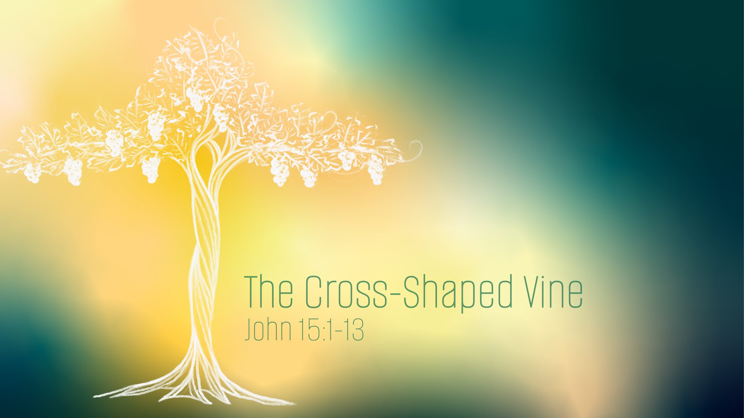 “ The Cross Shaped Vine”