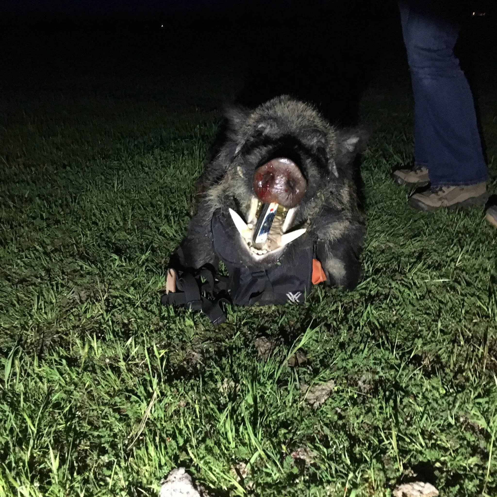 Hog Knife.jpg