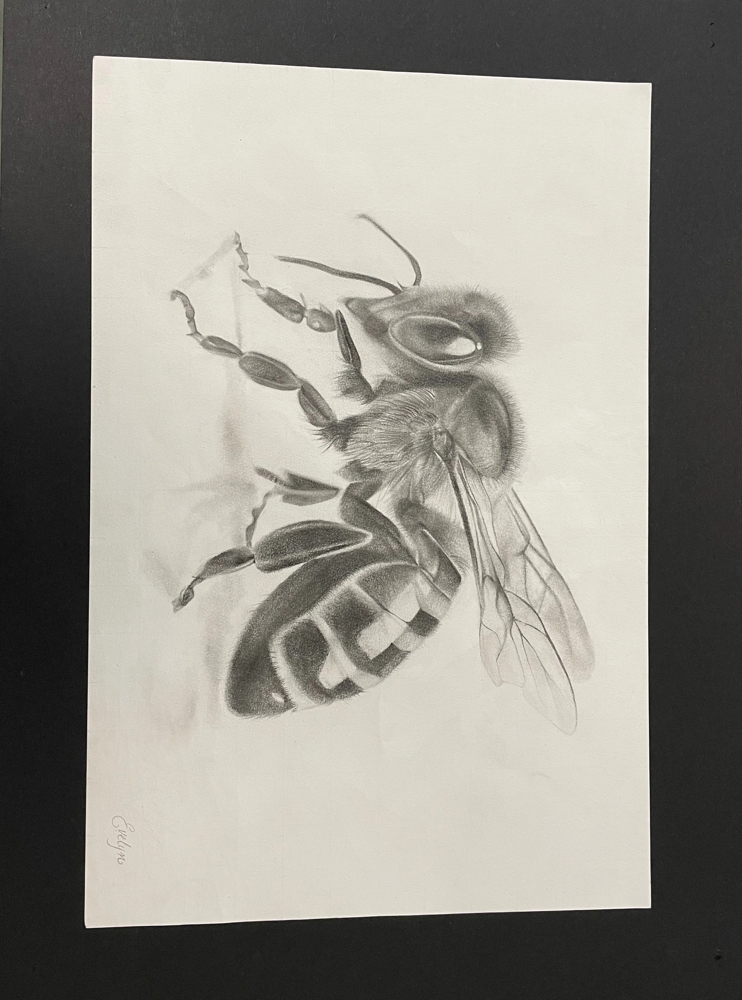 12x18 graphite