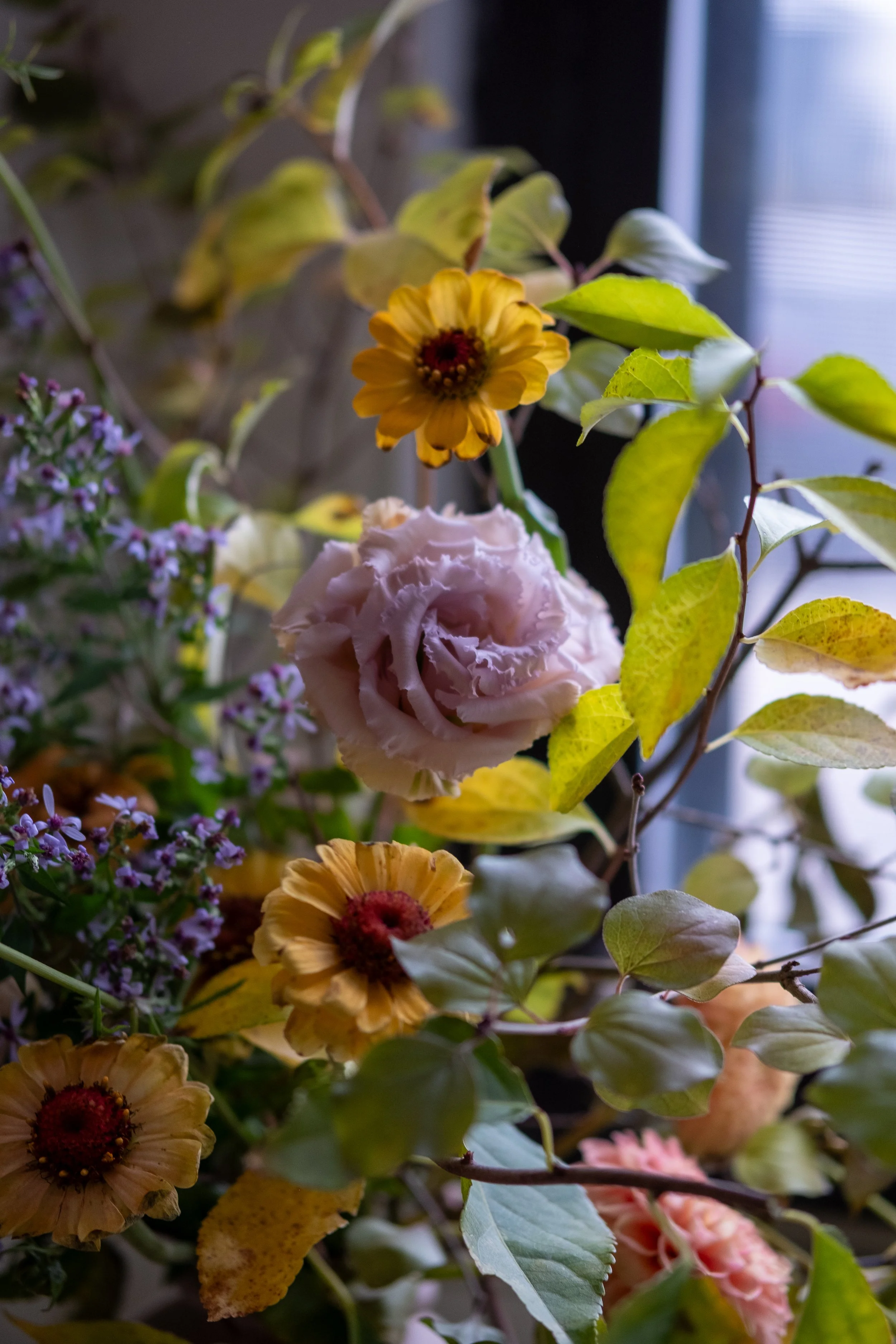 DSCF6070.jpg
