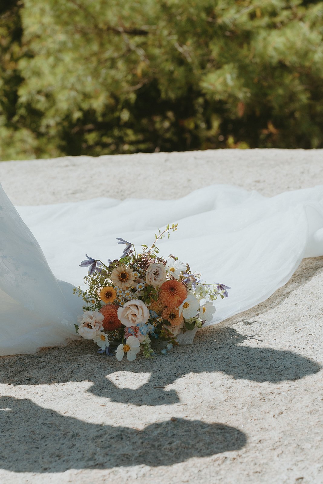 M amberjay-71_websize.jpg