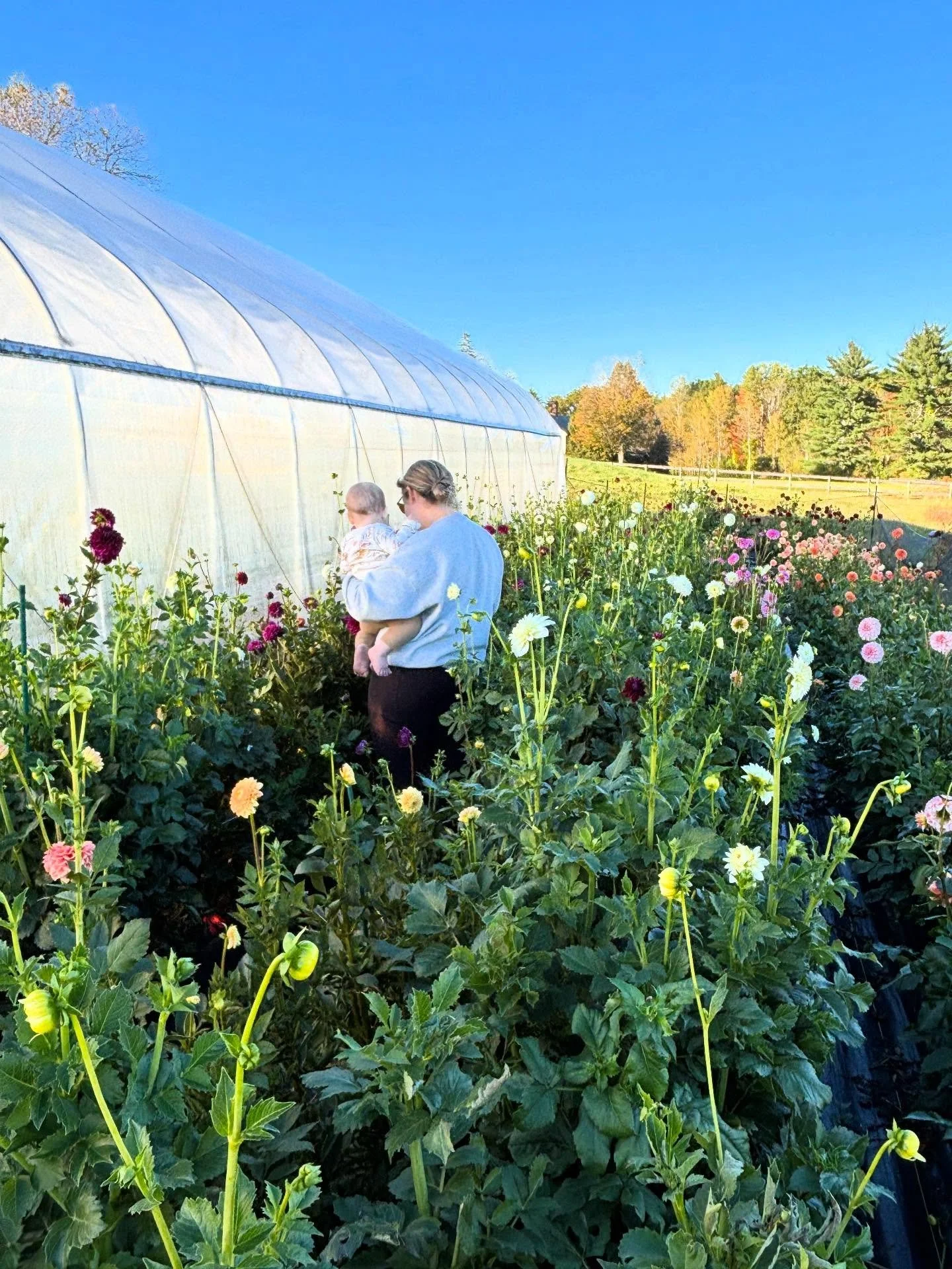 Grateful for a million things, from the flowers and our team, to our couples and community. Work we love. Happy Thanksgiving friends, hope you have a beautiful day with your people. 🤎🌾🍂