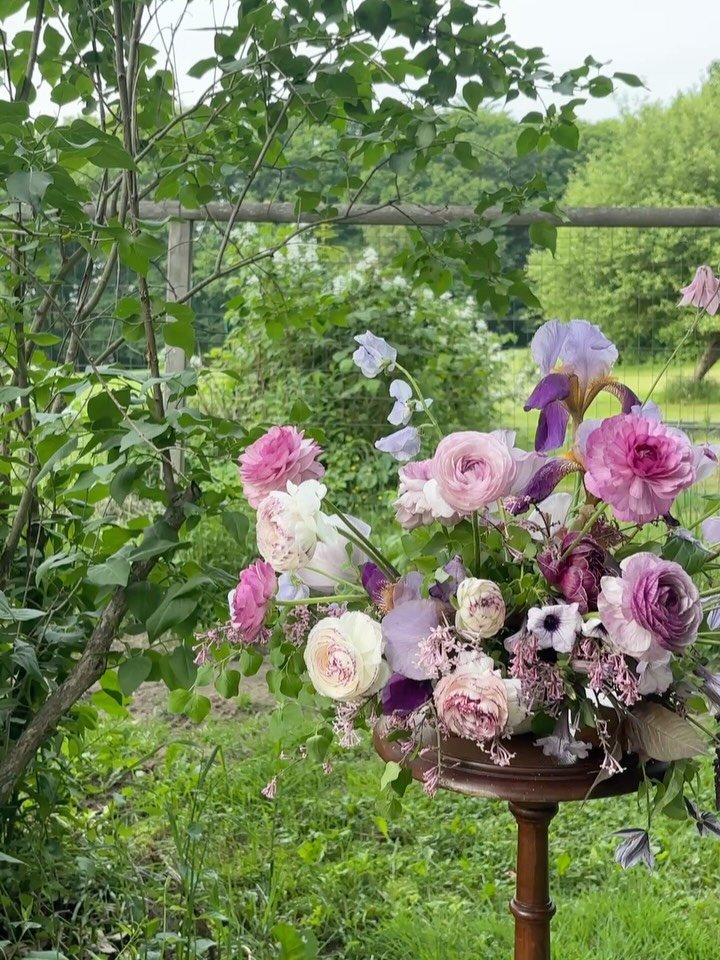 Kept noticing so much beautiful purple all week 💜cooler tones are in their prime this time of year if you ask me!

We have some fun happenings this month if you want to get your hands on the best late spring/early summer flowers:

On 6/11 we&rsquo;r
