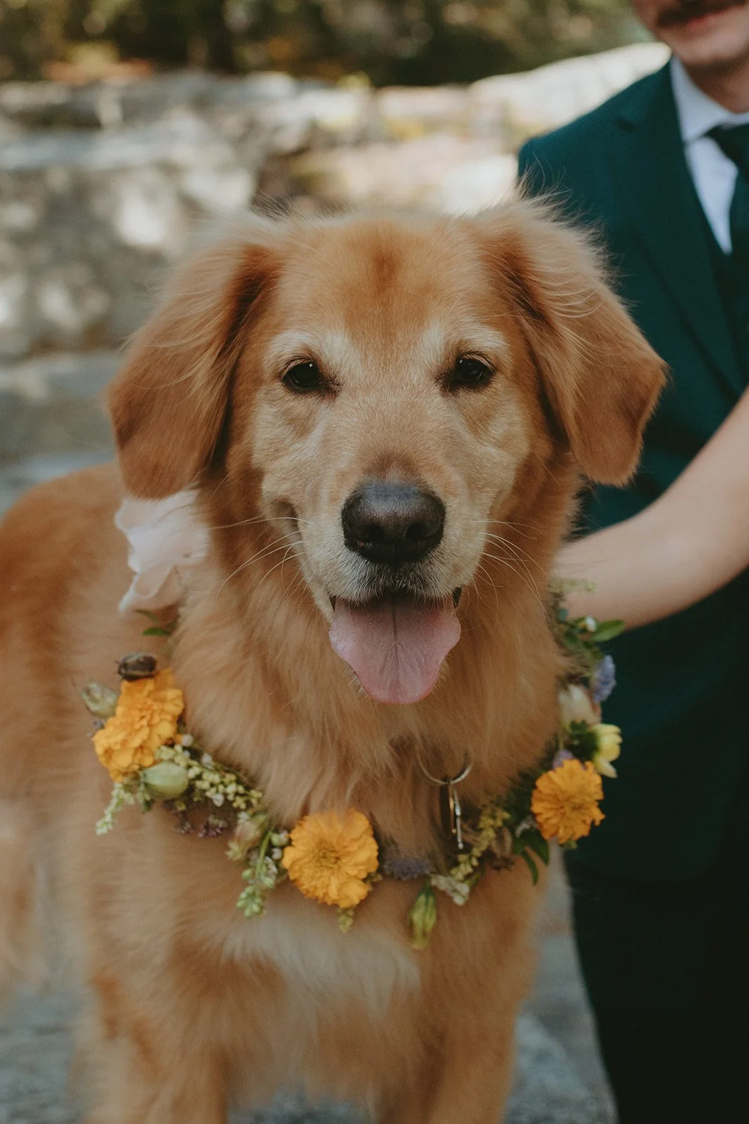 Y amberjay-159_websize.jpg