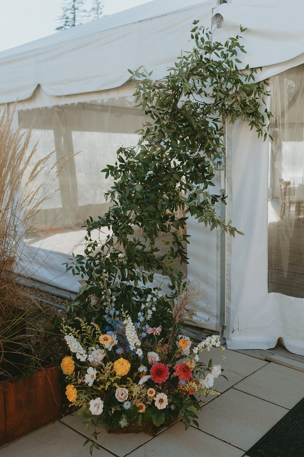 Y amberjay-424_websize.jpg