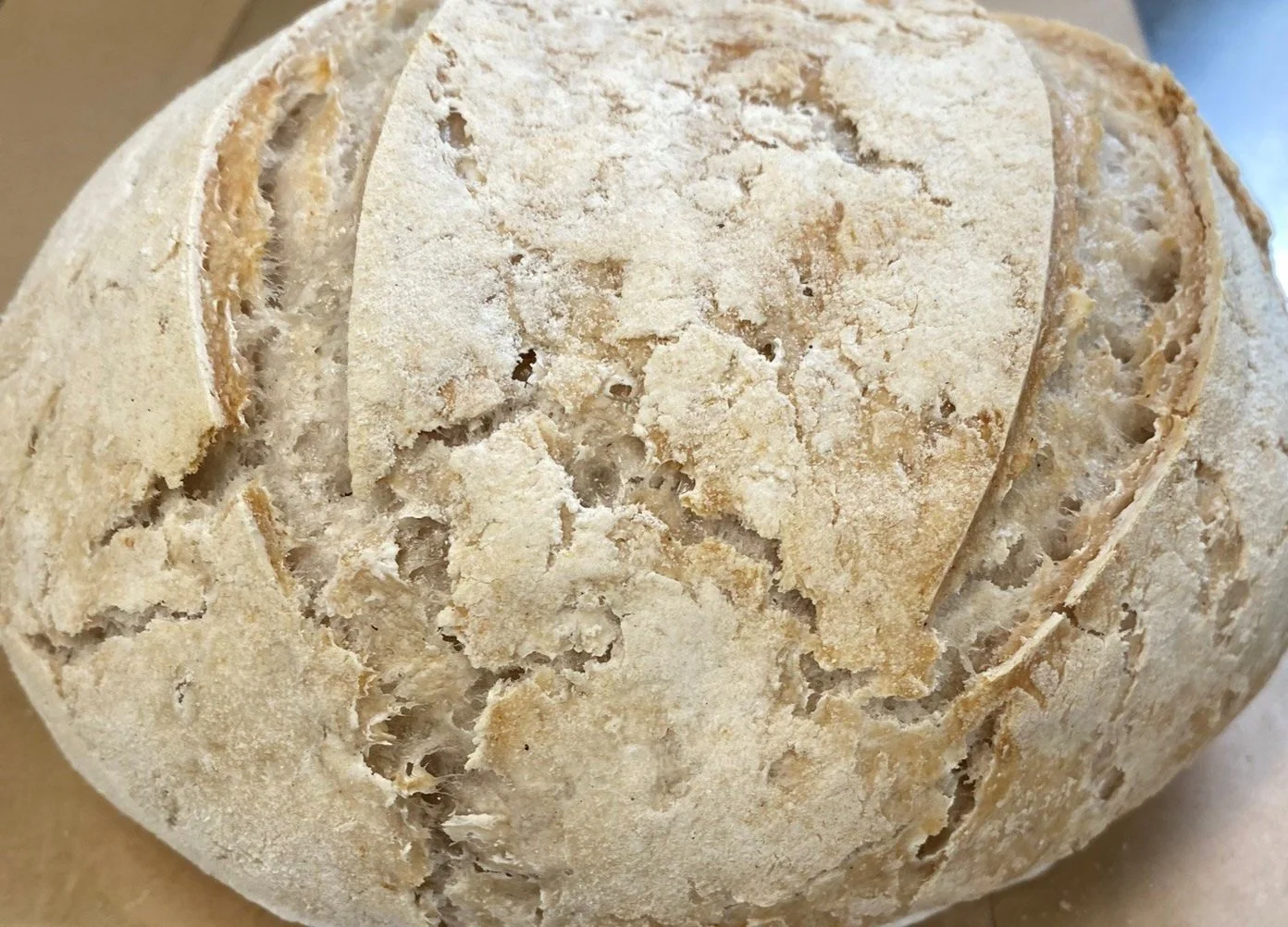 Gluten-Free Rustic Bread