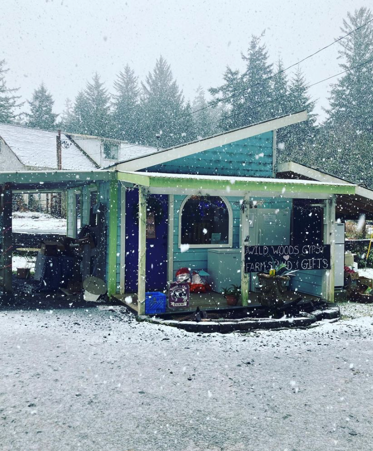 Wild Woods Gypsy Farm Stand Snow
