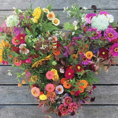 Servitude IS self care