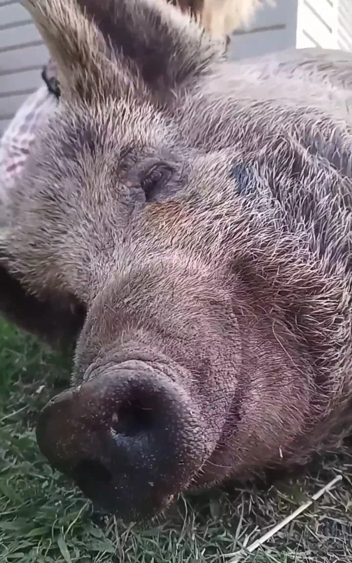 Is Today Your Day To Play?